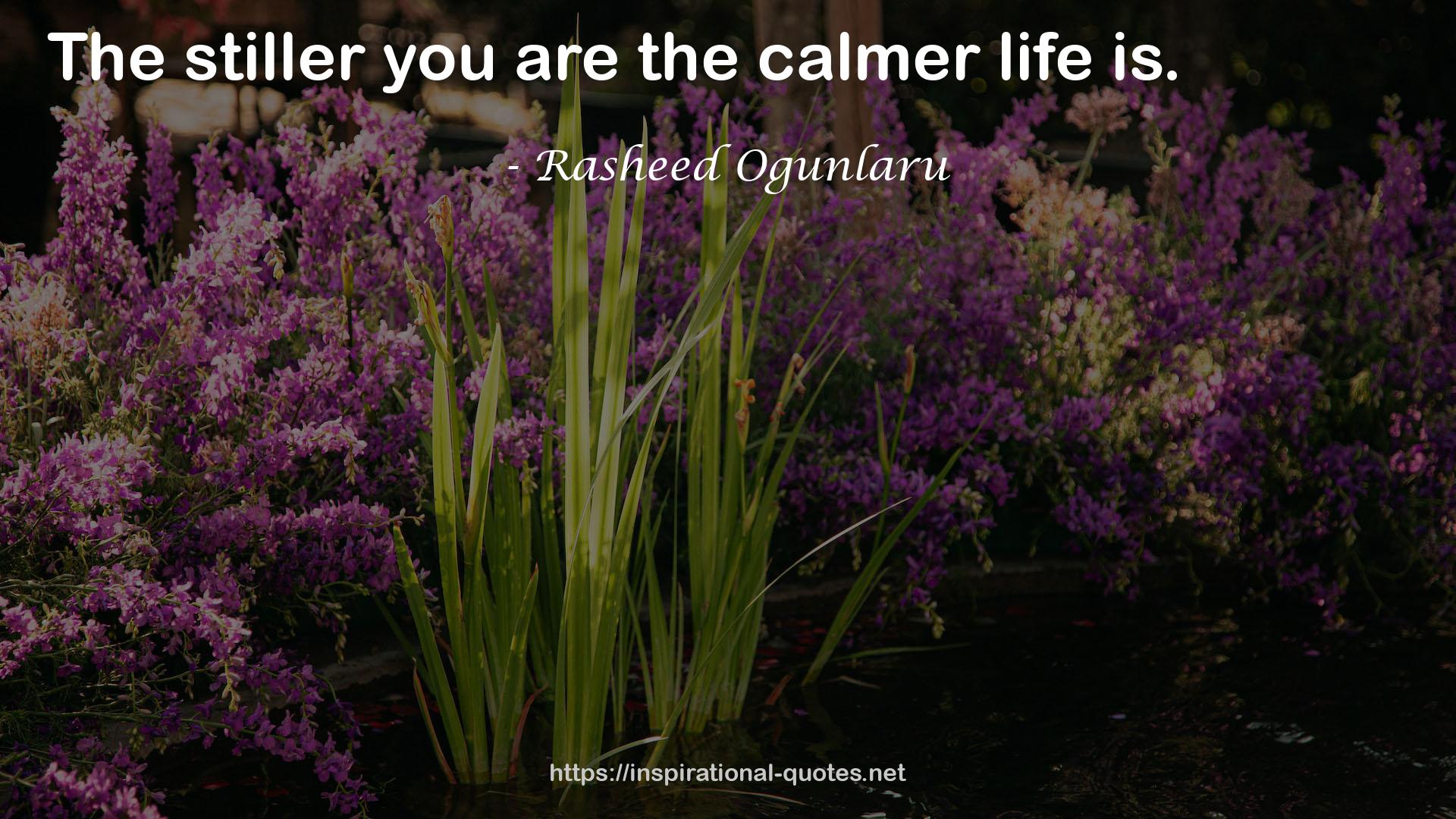 the calmer life  QUOTES