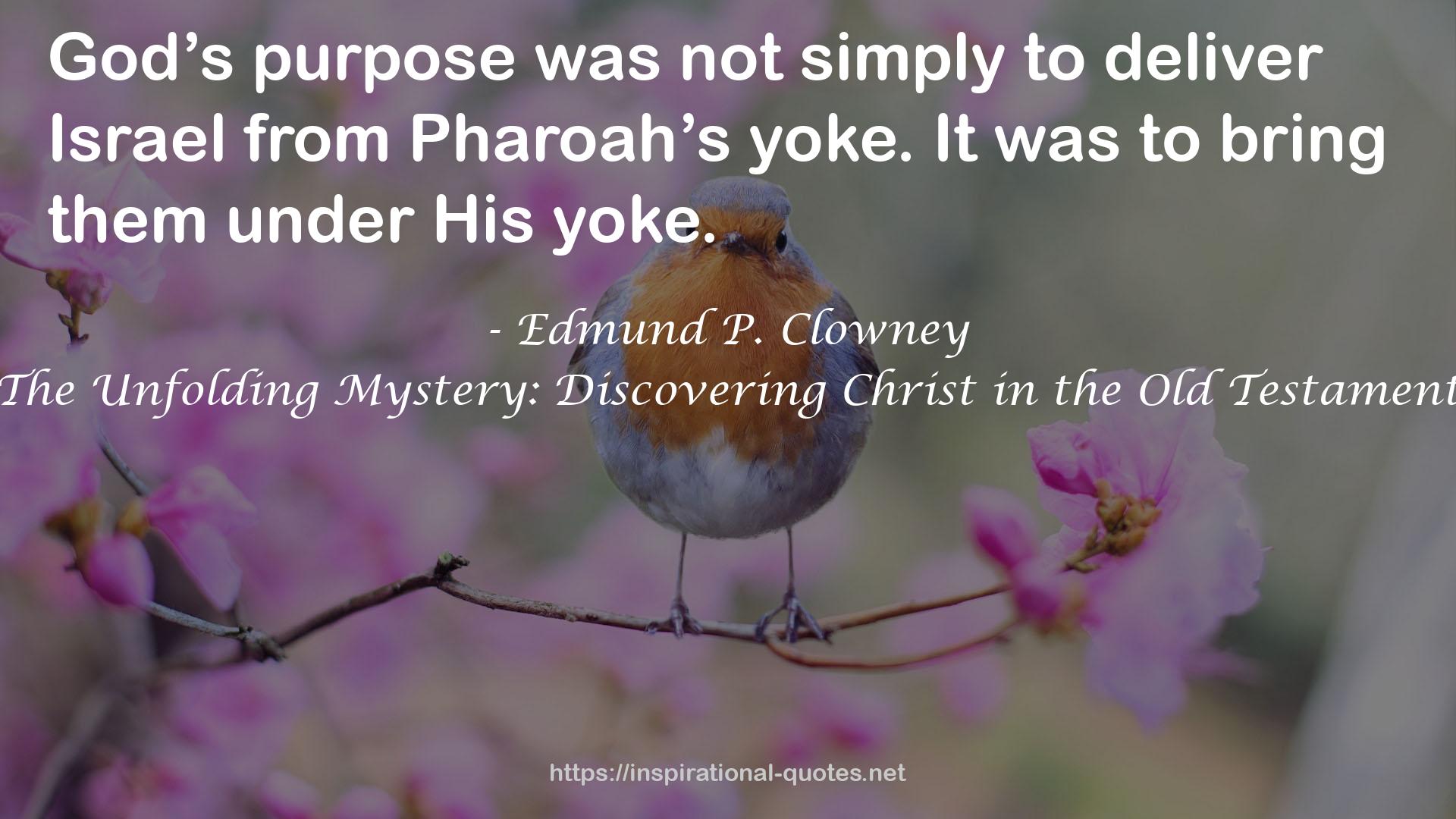 The Unfolding Mystery: Discovering Christ in the Old Testament QUOTES