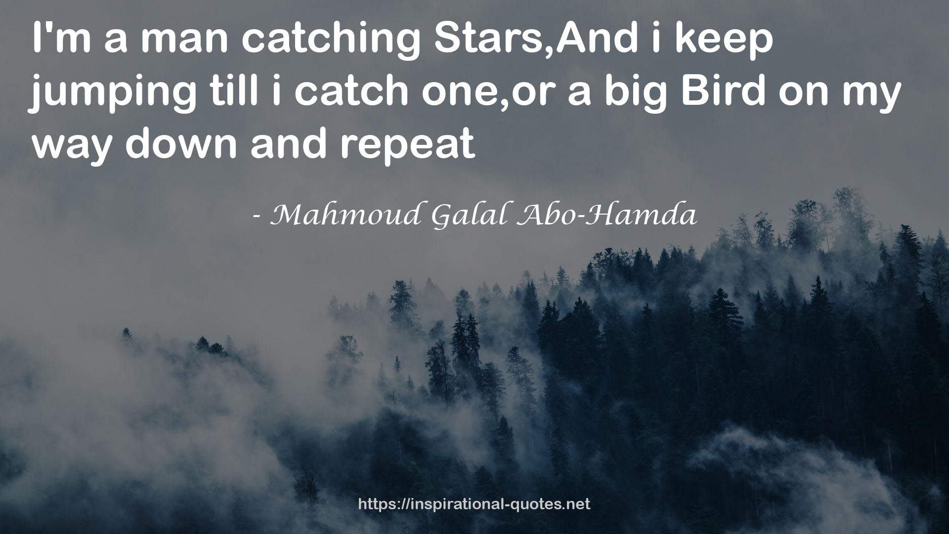 Mahmoud Galal Abo-Hamda QUOTES