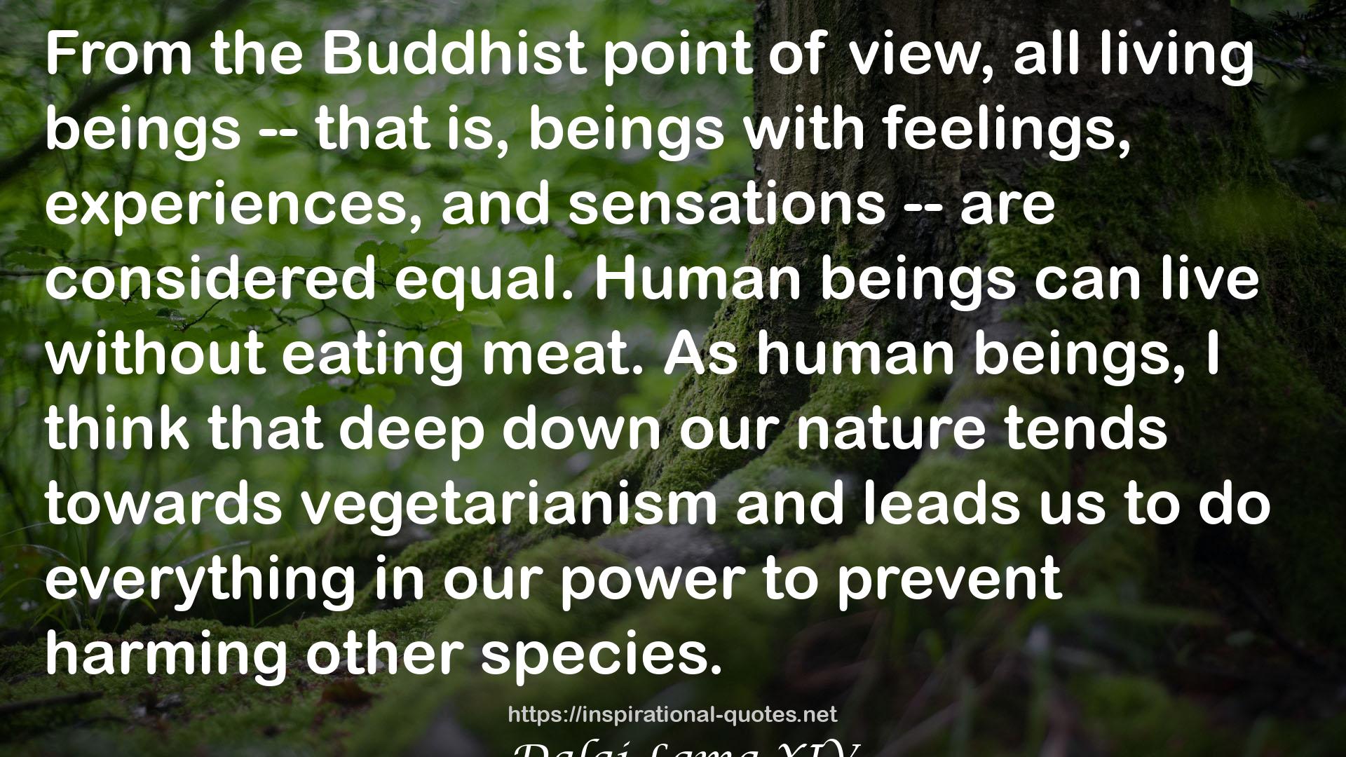 the Buddhist point  QUOTES