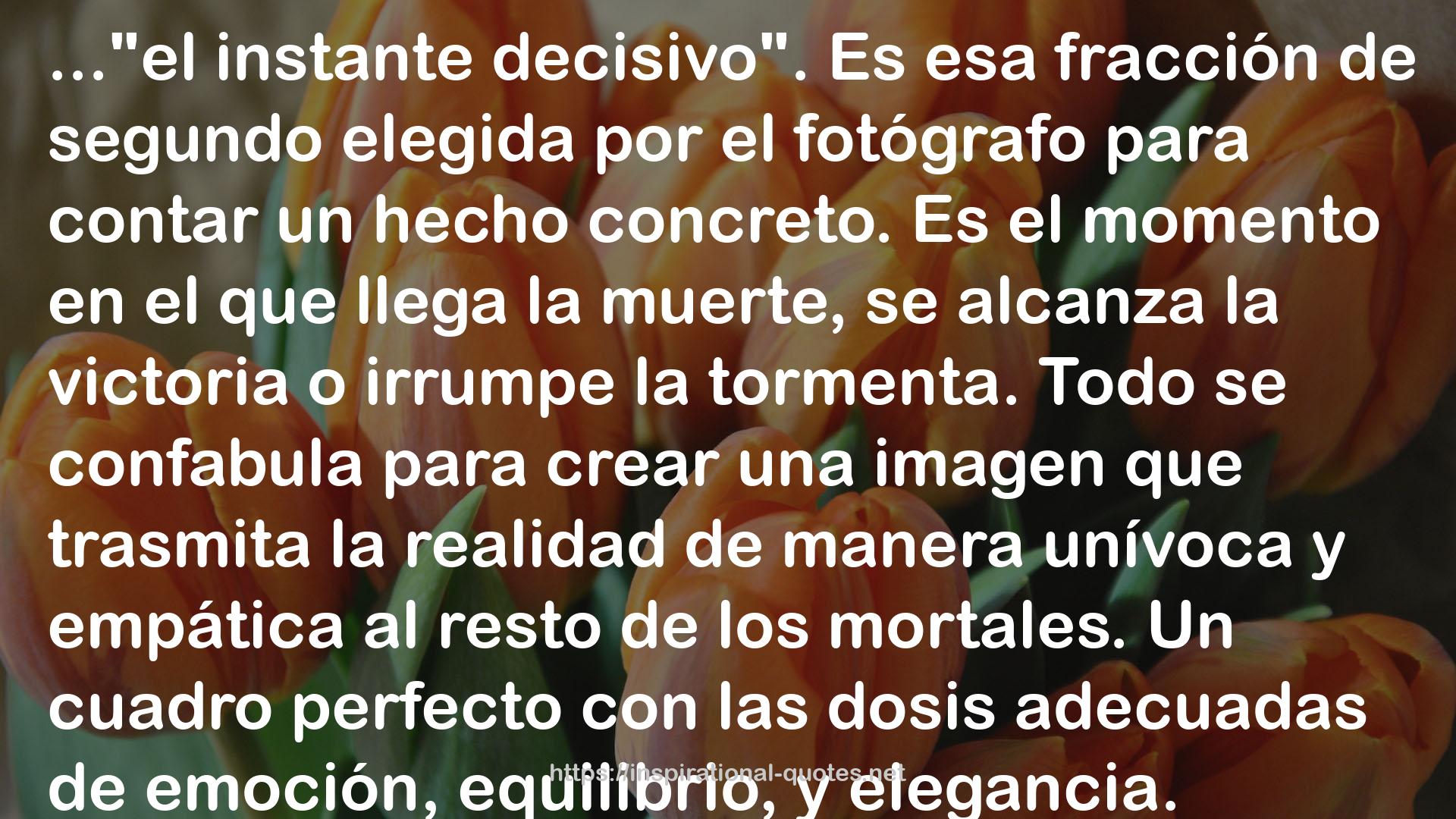 alberto fernandez de agirre QUOTES