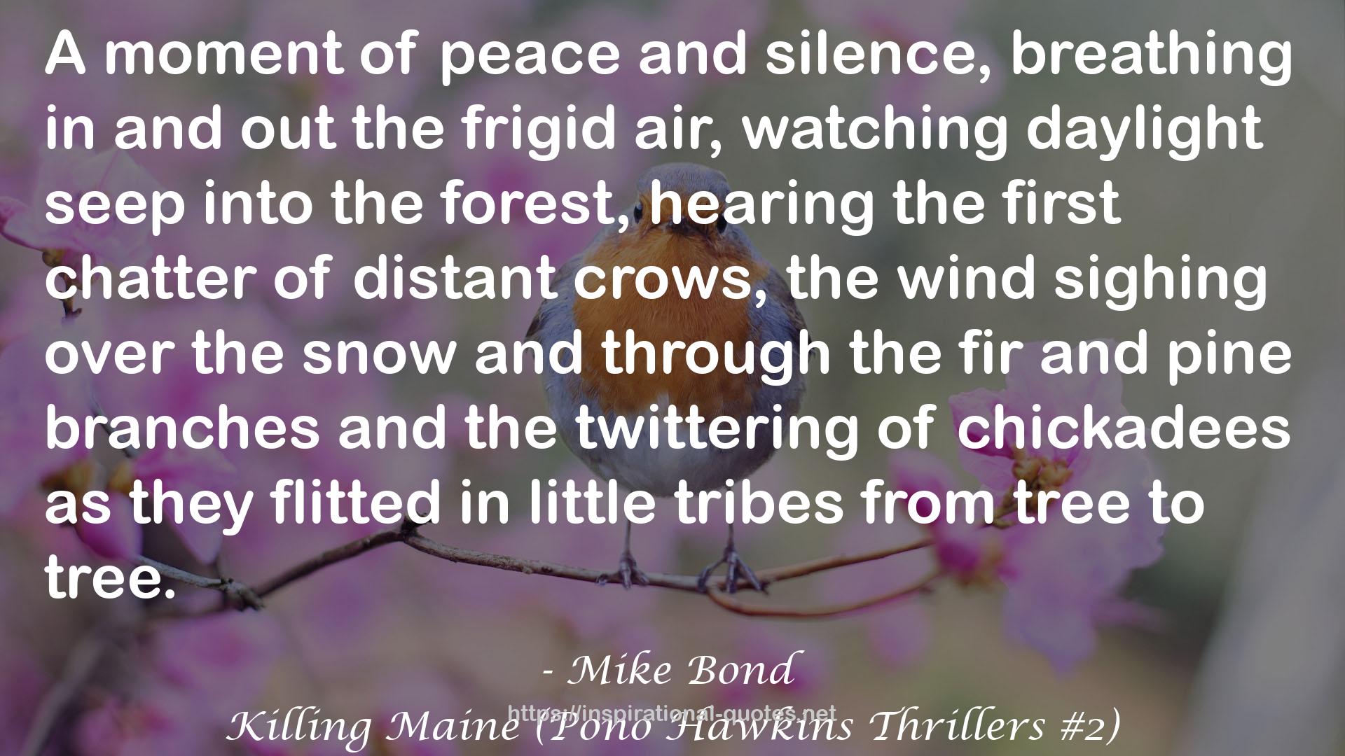 Killing Maine (Pono Hawkins Thrillers #2) QUOTES