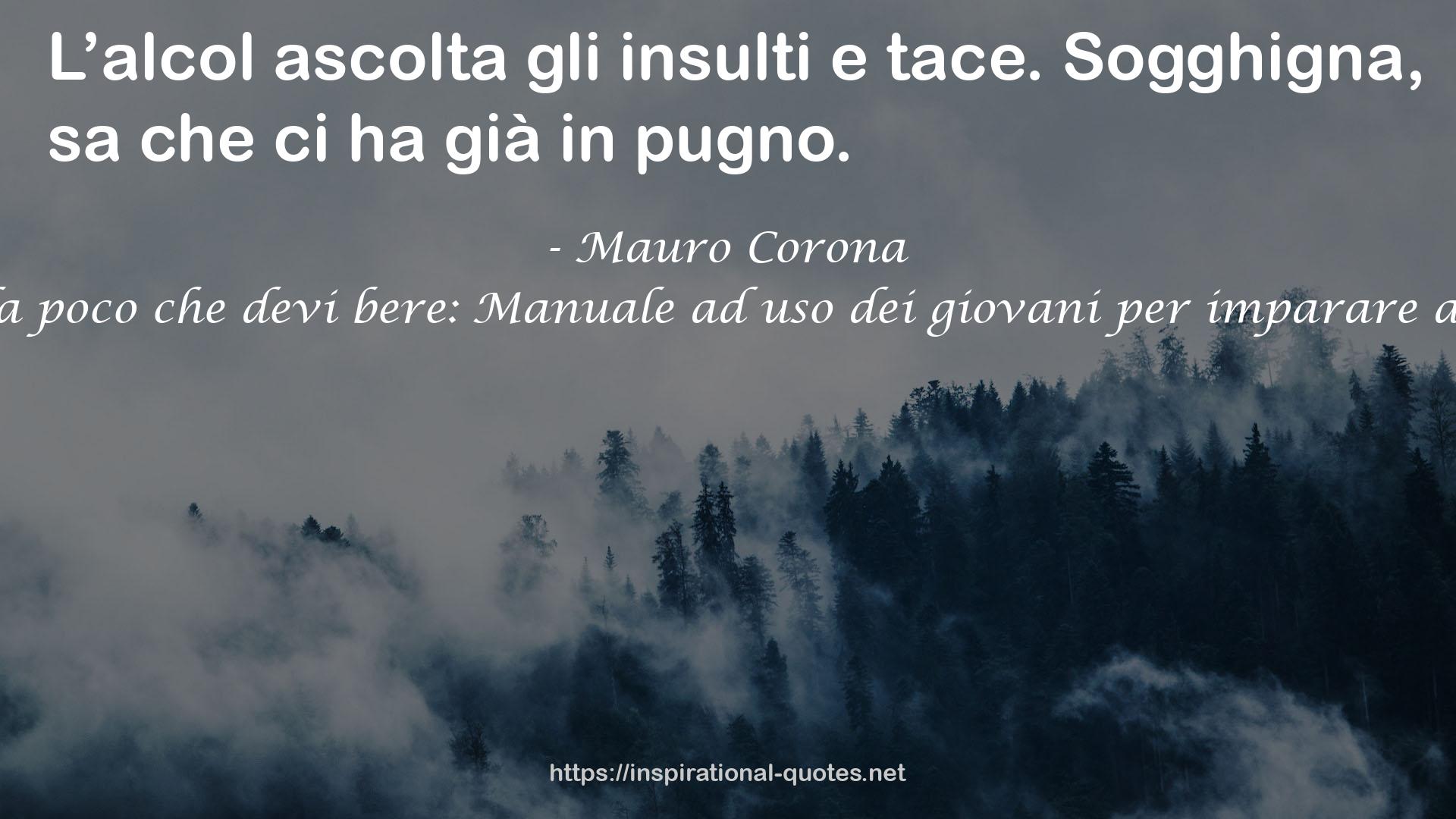 Guida poco che devi bere: Manuale ad uso dei giovani per imparare a bere QUOTES