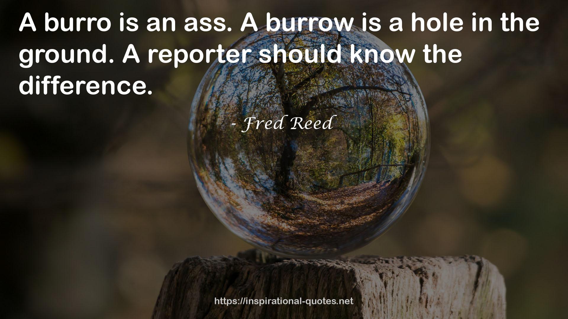 Fred Reed QUOTES