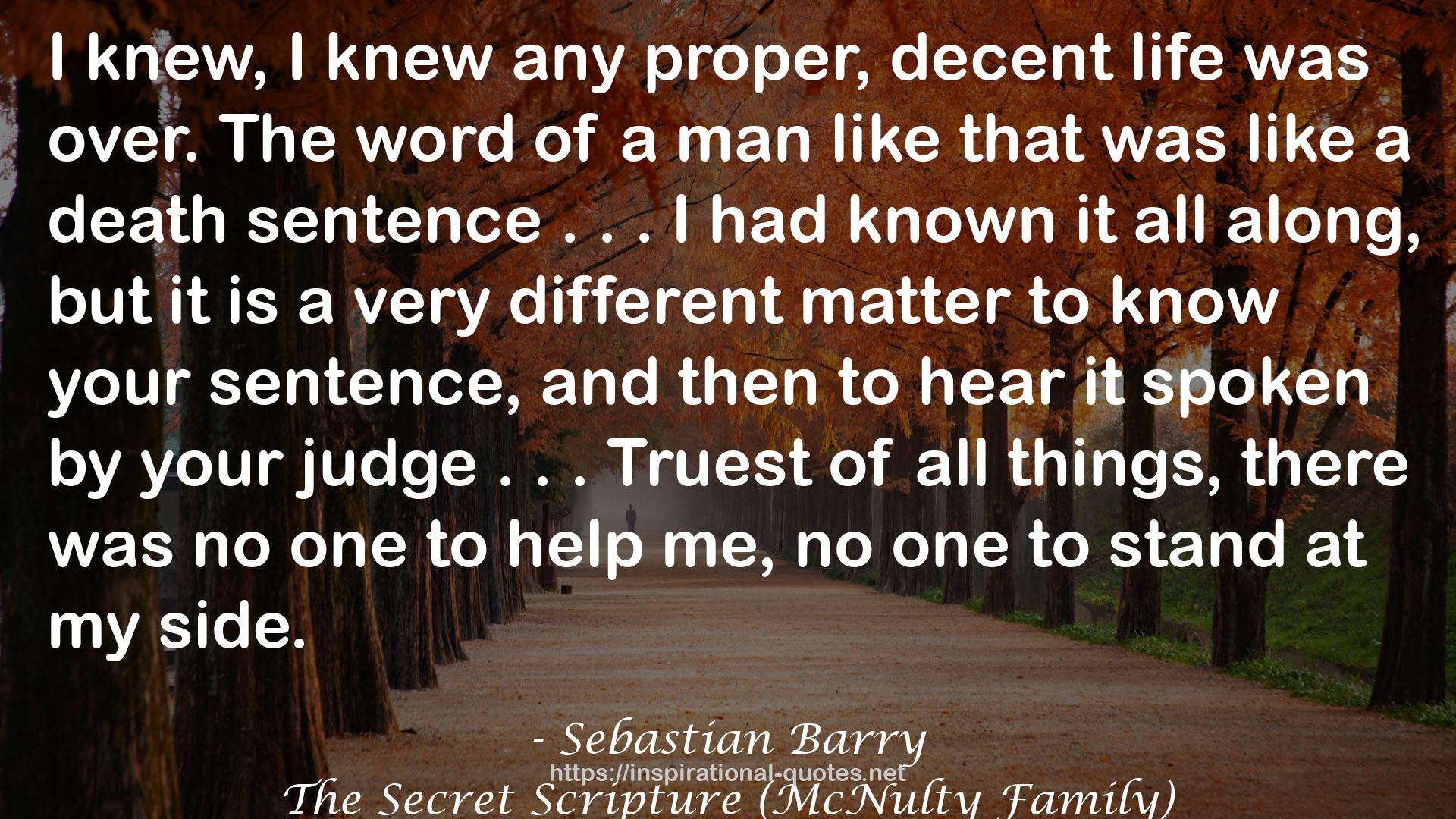 The Secret Scripture (McNulty Family) QUOTES