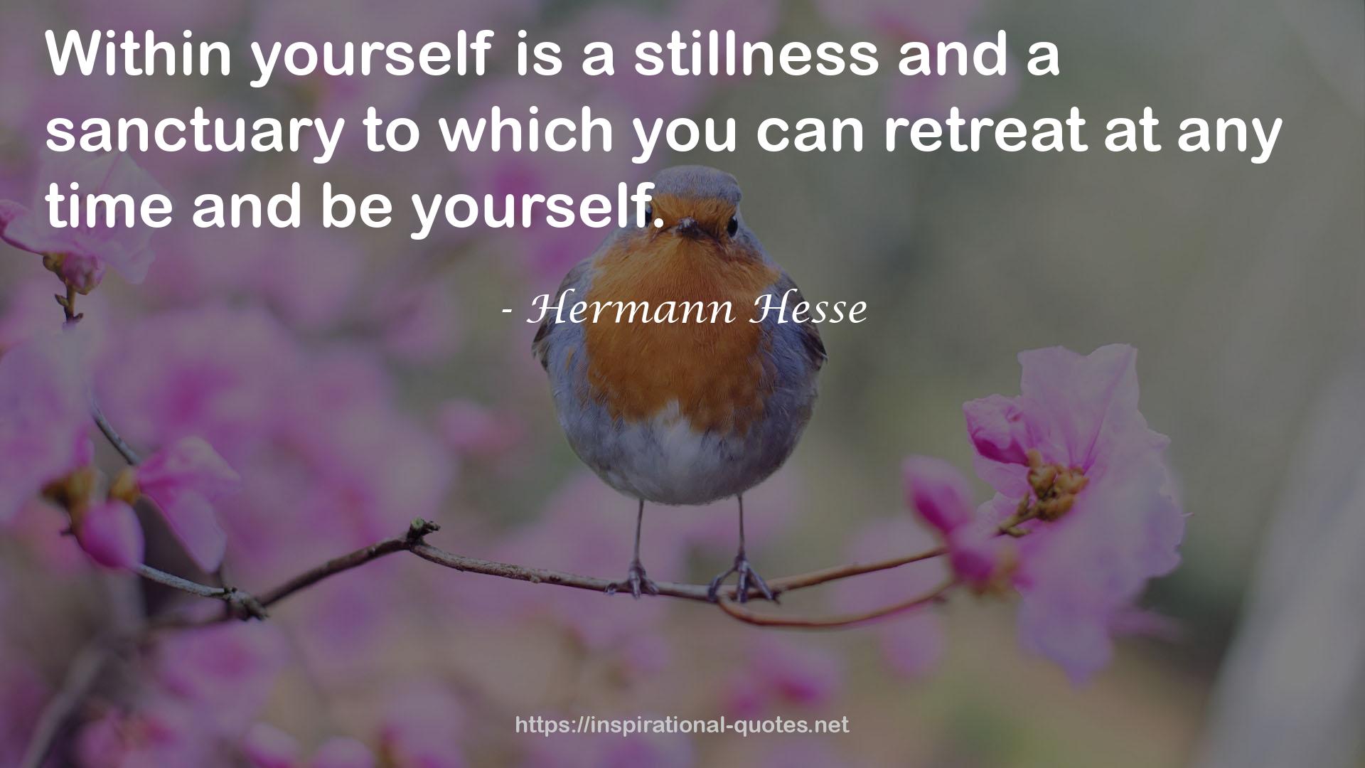 stillness  QUOTES