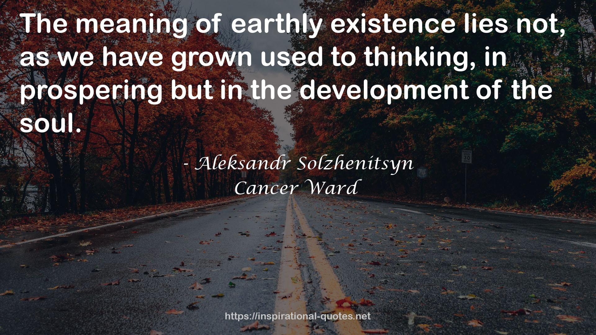 earthly existence  QUOTES