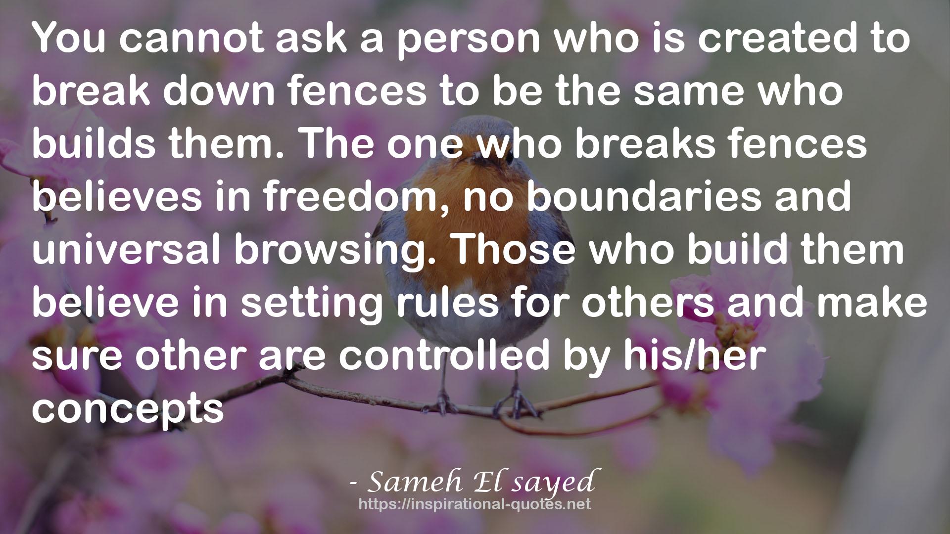 Sameh El sayed QUOTES