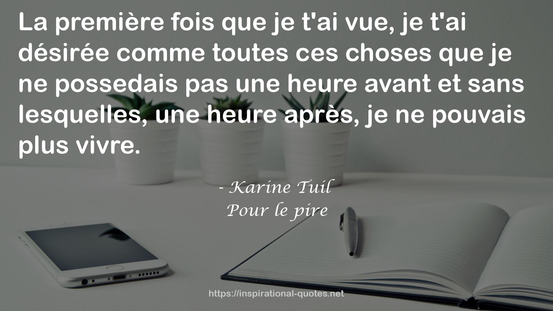 Karine Tuil QUOTES