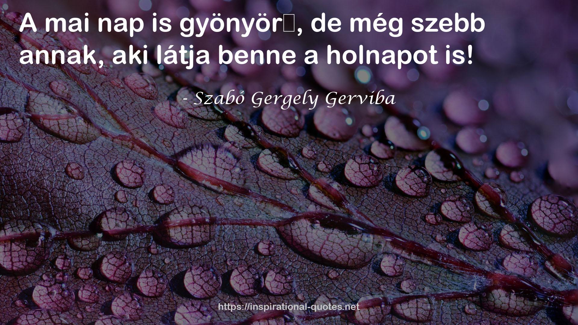 Szabó Gergely Gerviba QUOTES