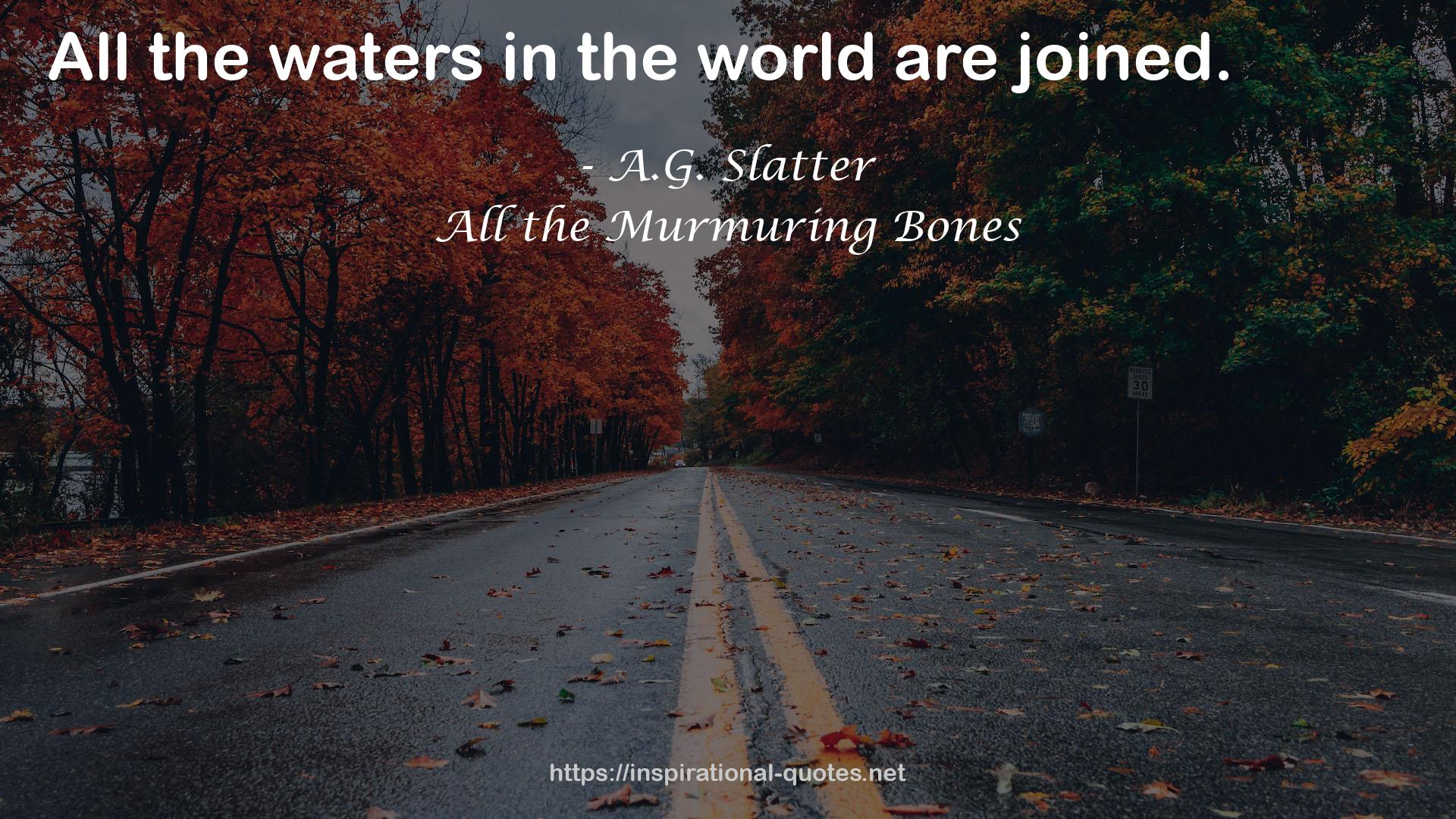A.G. Slatter QUOTES