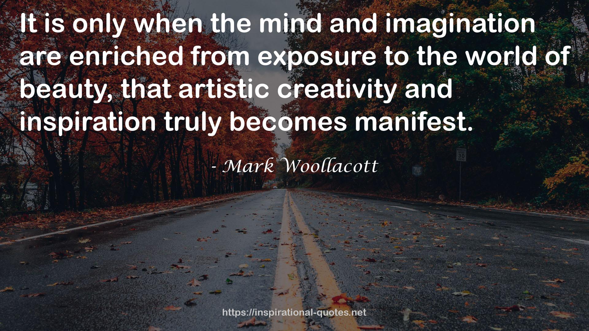 Mark Woollacott QUOTES