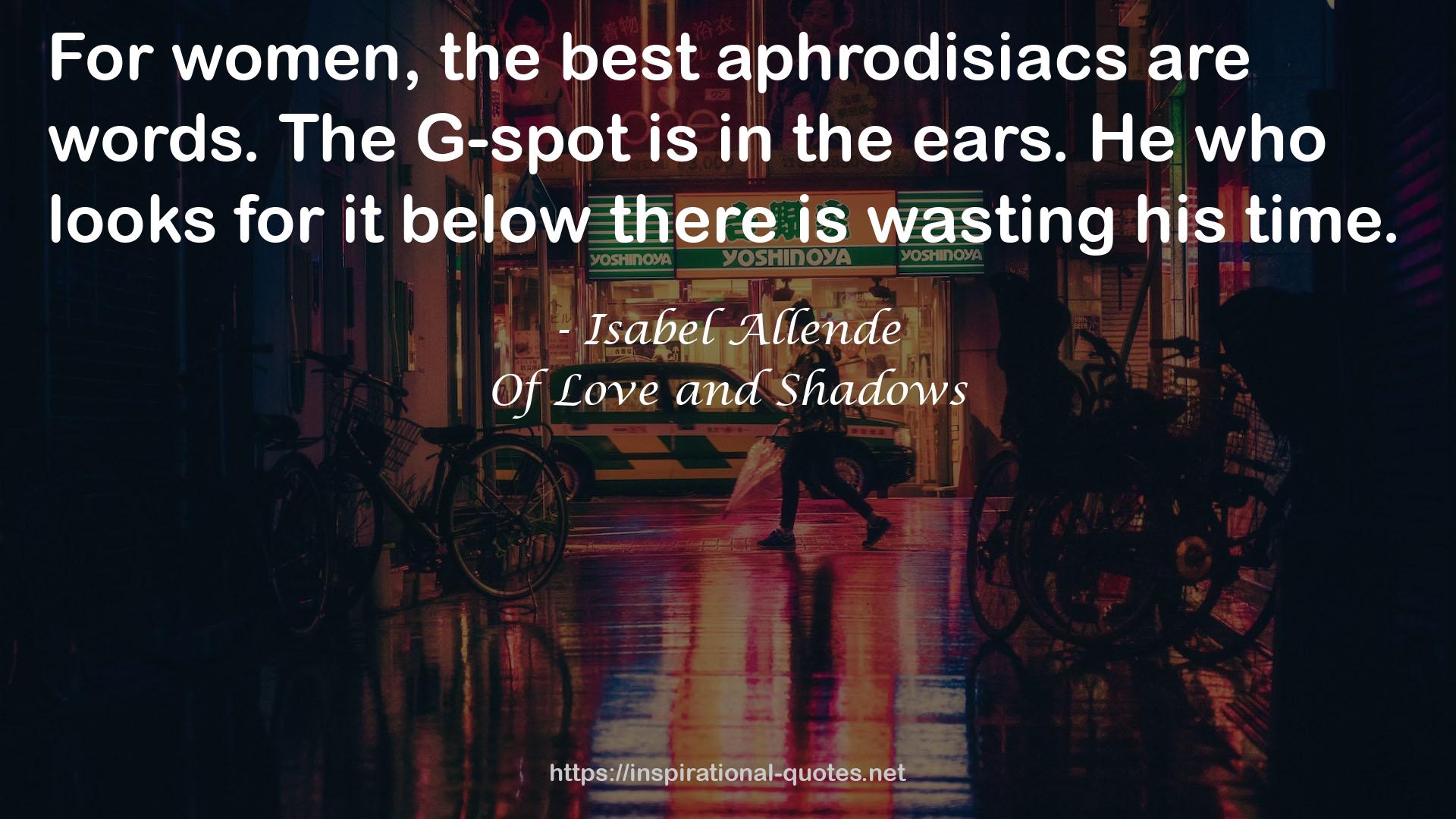 Of Love and Shadows QUOTES