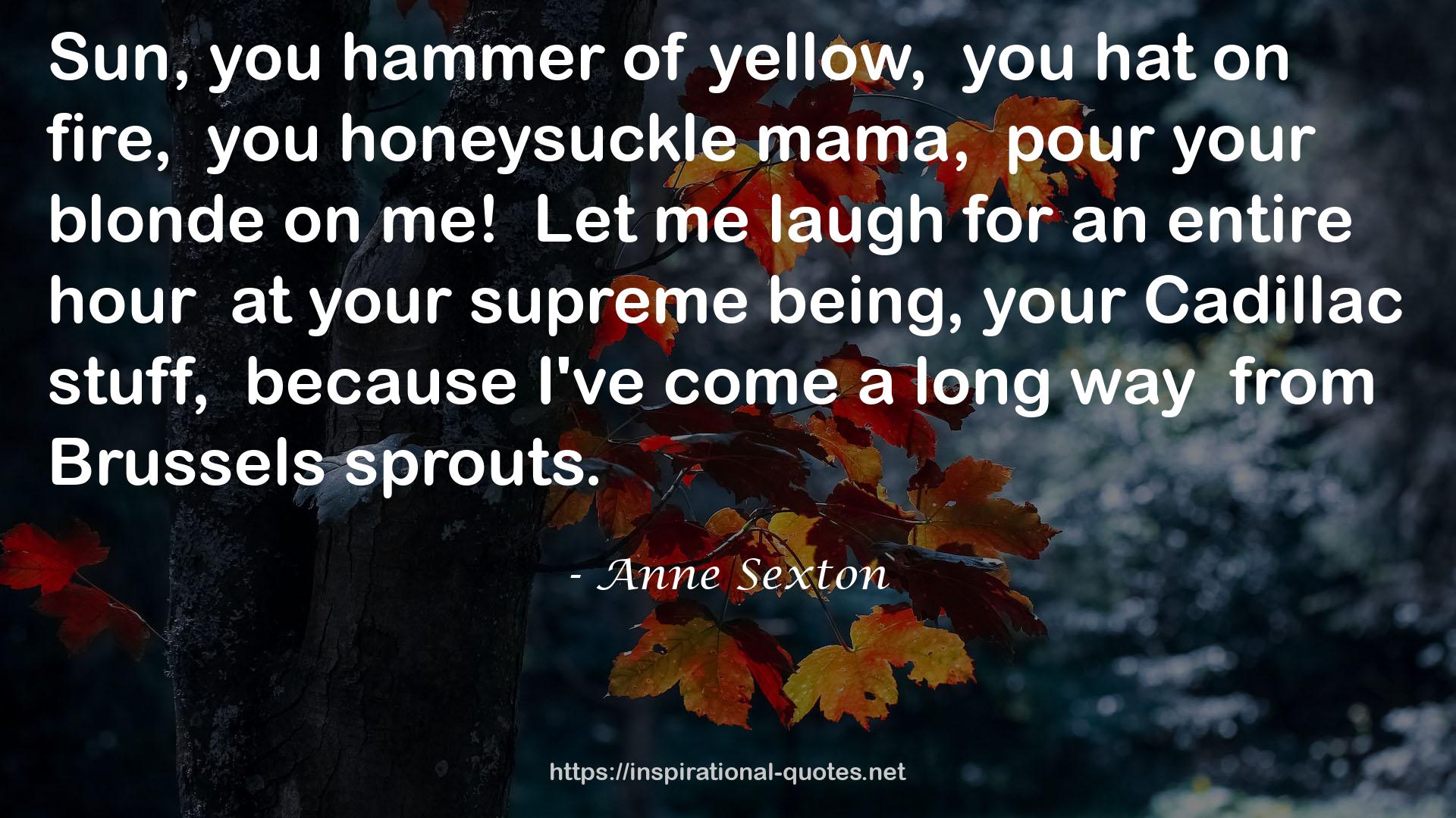 Anne Sexton QUOTES