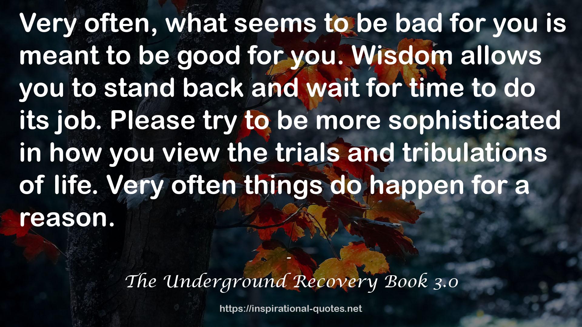 The Underground Recovery Book 3.0 QUOTES
