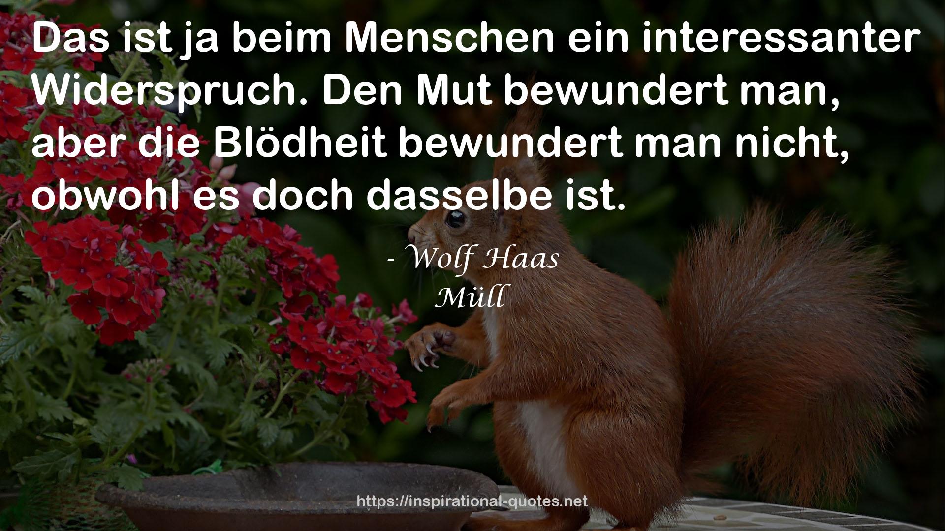 Wolf Haas QUOTES