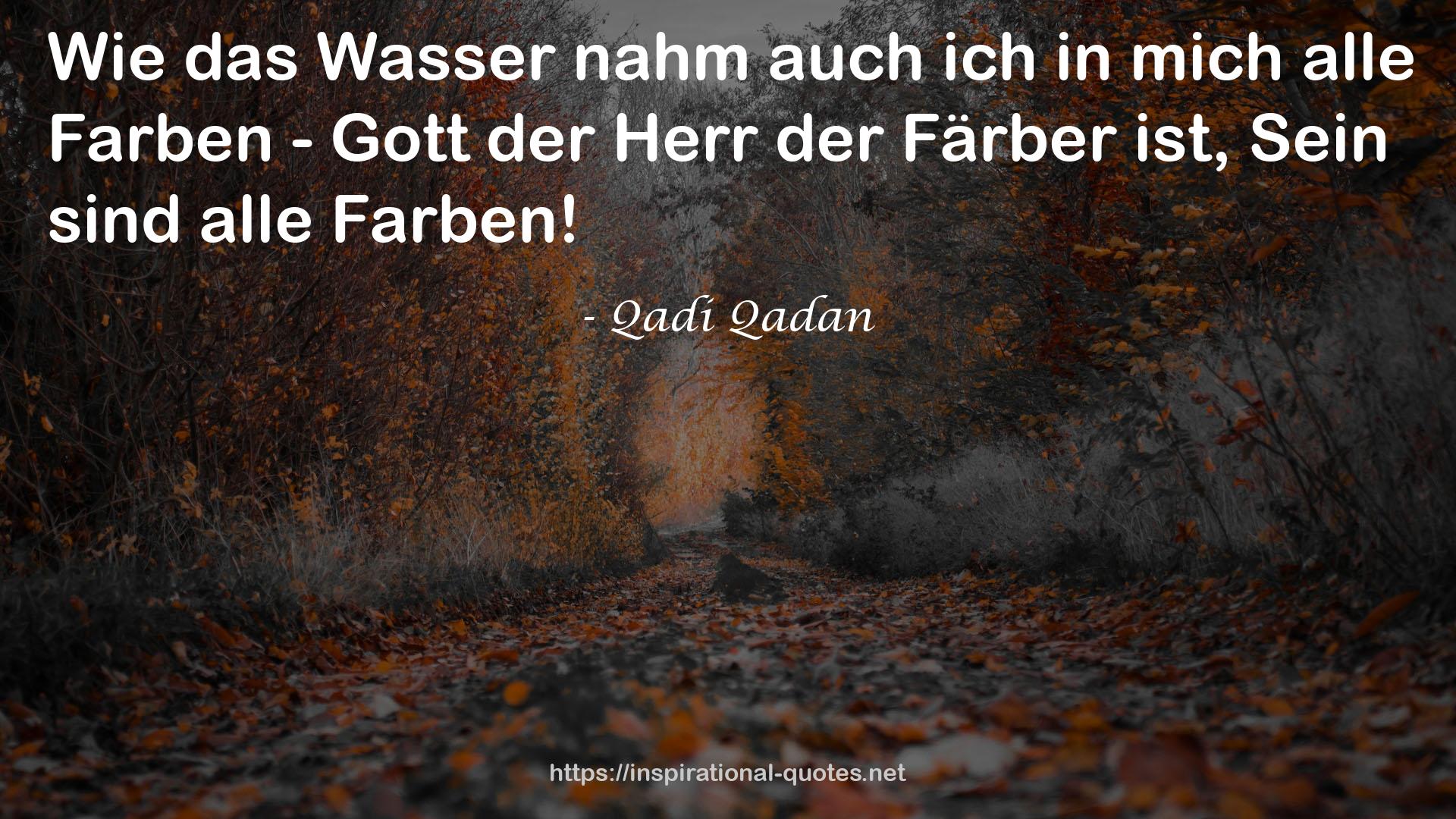 Qadi Qadan QUOTES