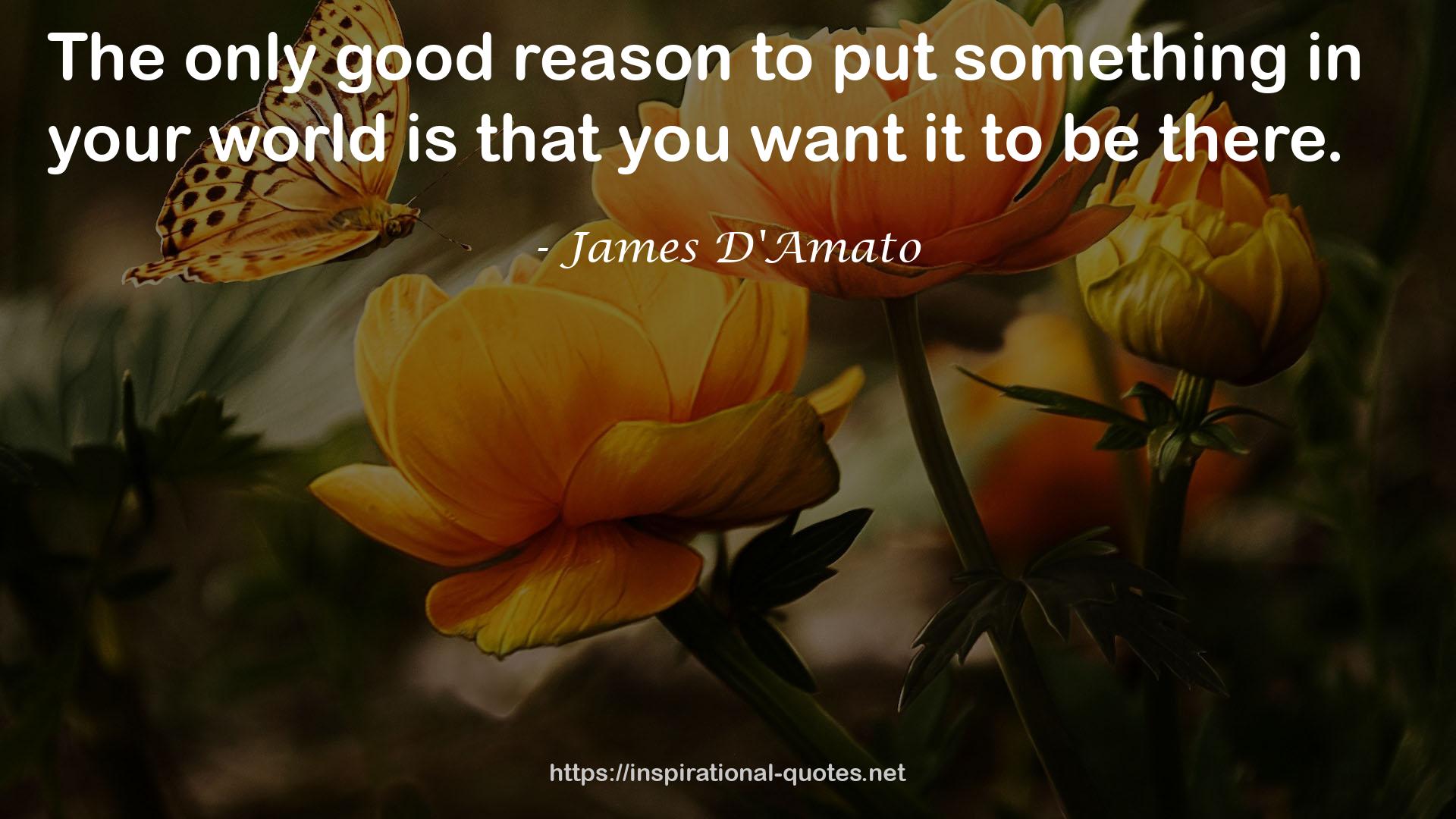 James D'Amato QUOTES