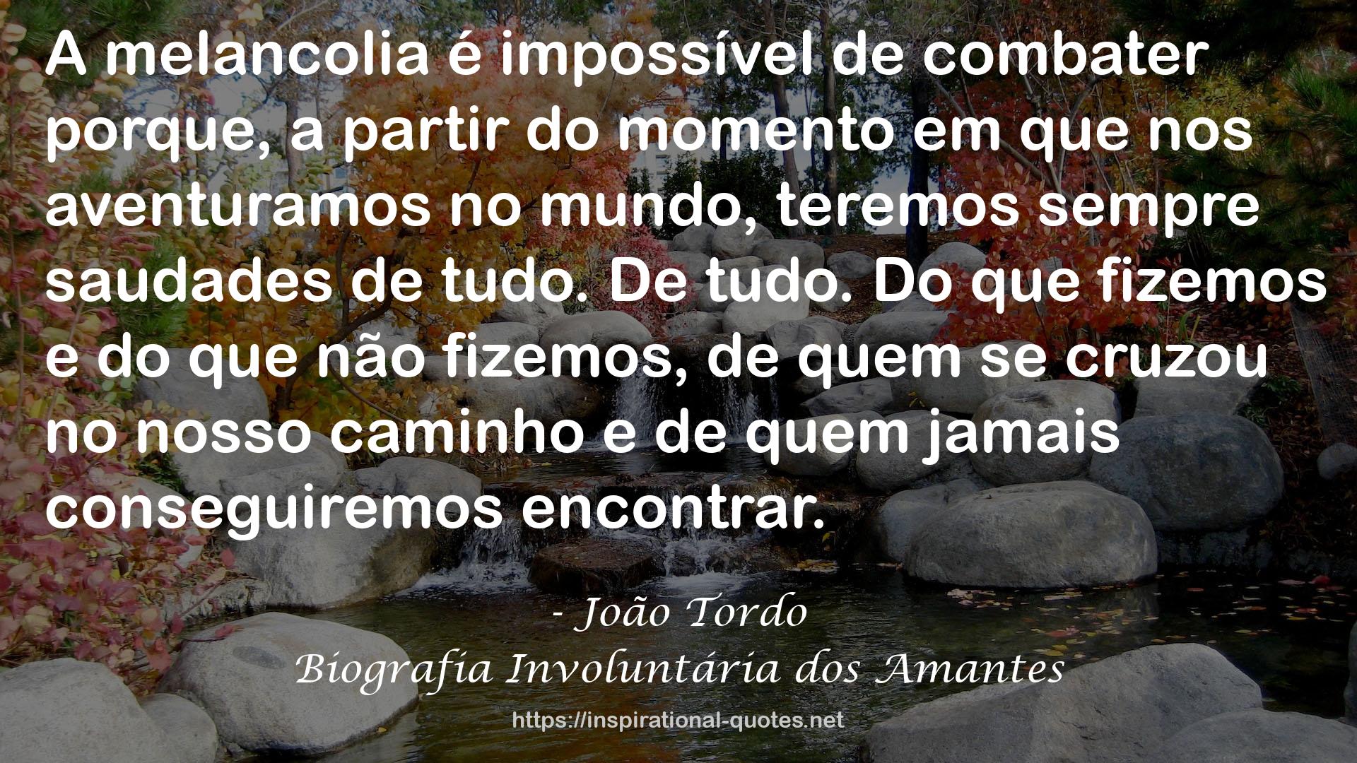 Biografia Involuntária dos Amantes QUOTES