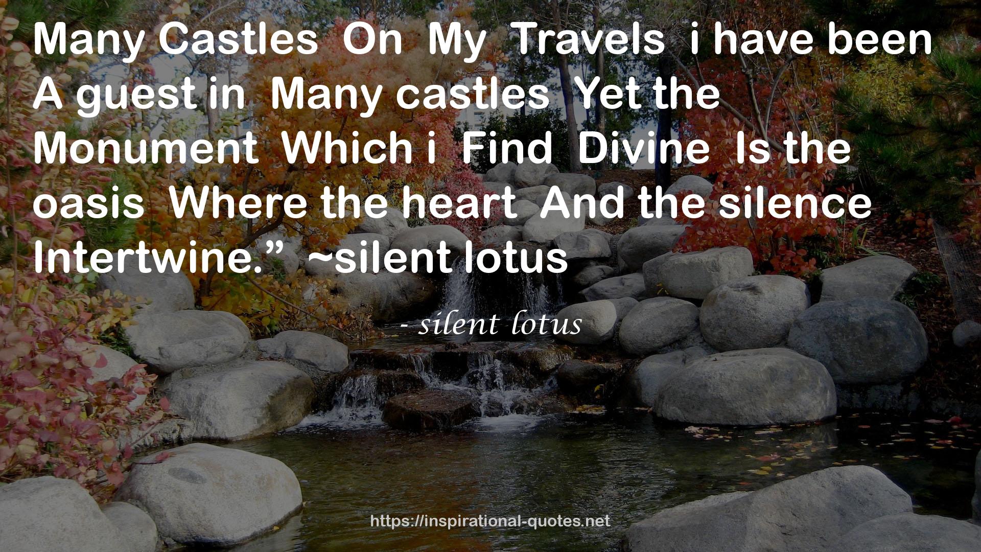 silent lotus QUOTES