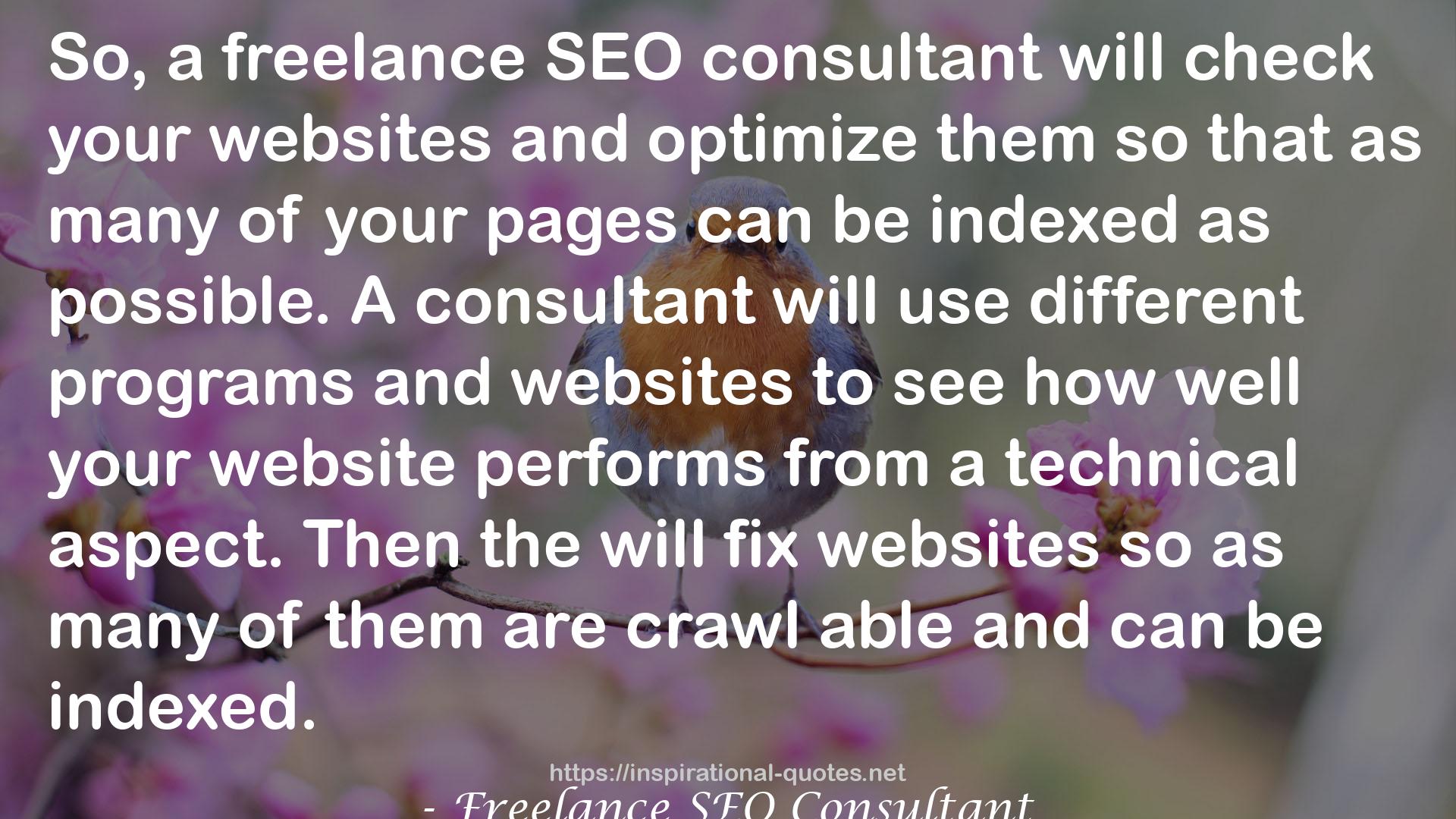 Freelance SEO Consultant QUOTES