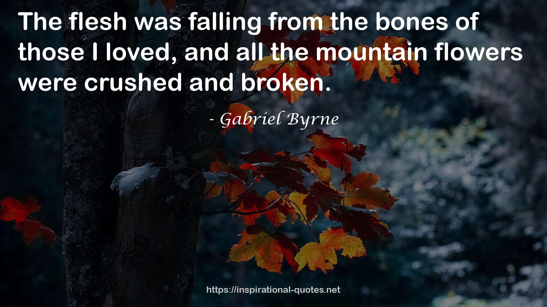 Gabriel Byrne QUOTES