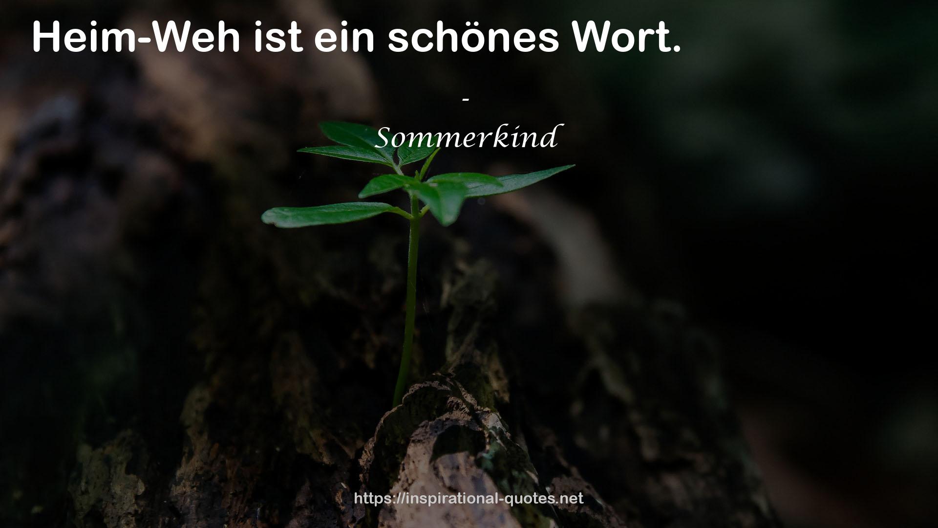 Sommerkind QUOTES