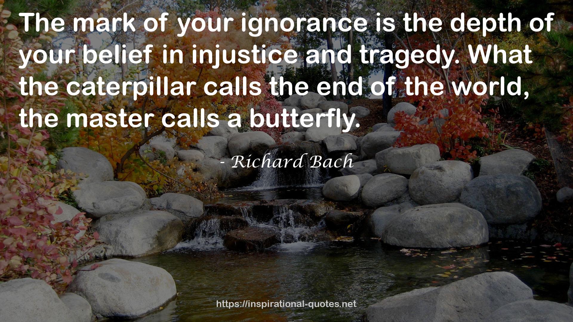 your ignorance  QUOTES