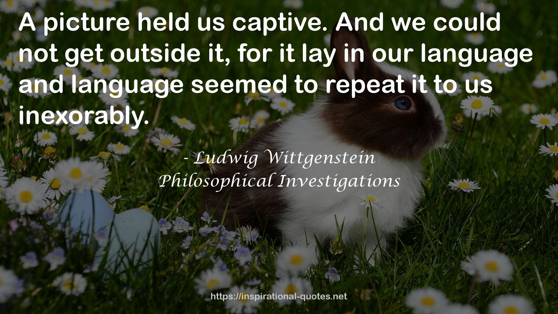 Philosophical Investigations QUOTES