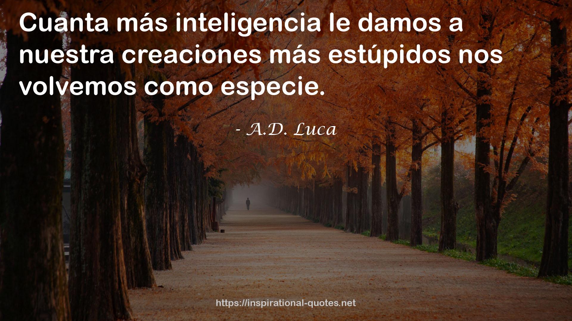 A.D. Luca QUOTES