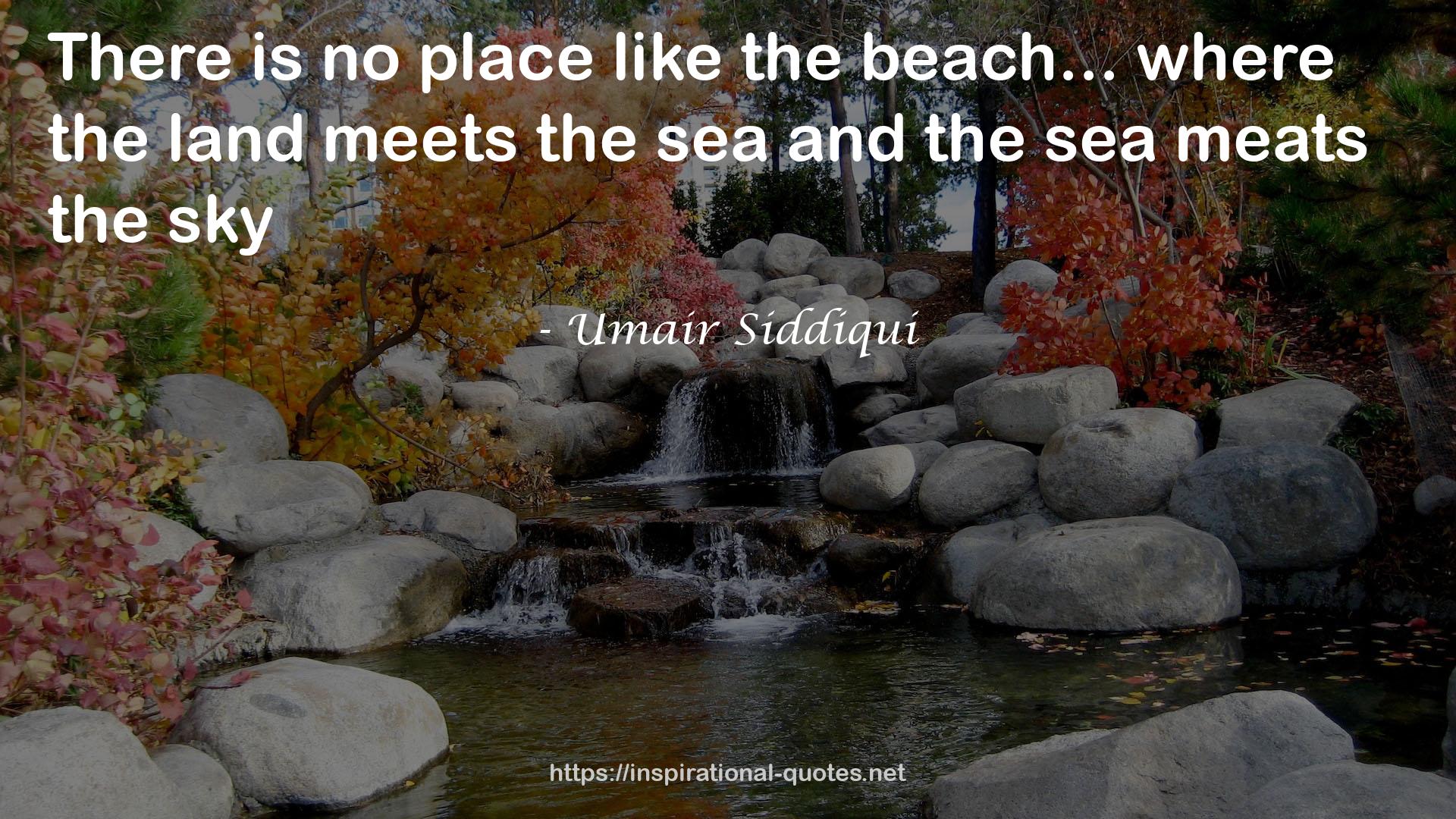 Umair Siddiqui QUOTES