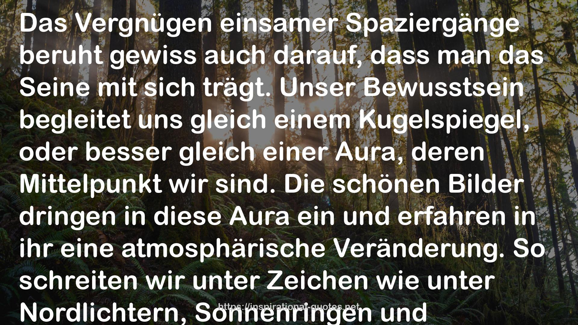 Das abenteuerliche Herz: Zweite Fassung - Figuren und Capriccios QUOTES