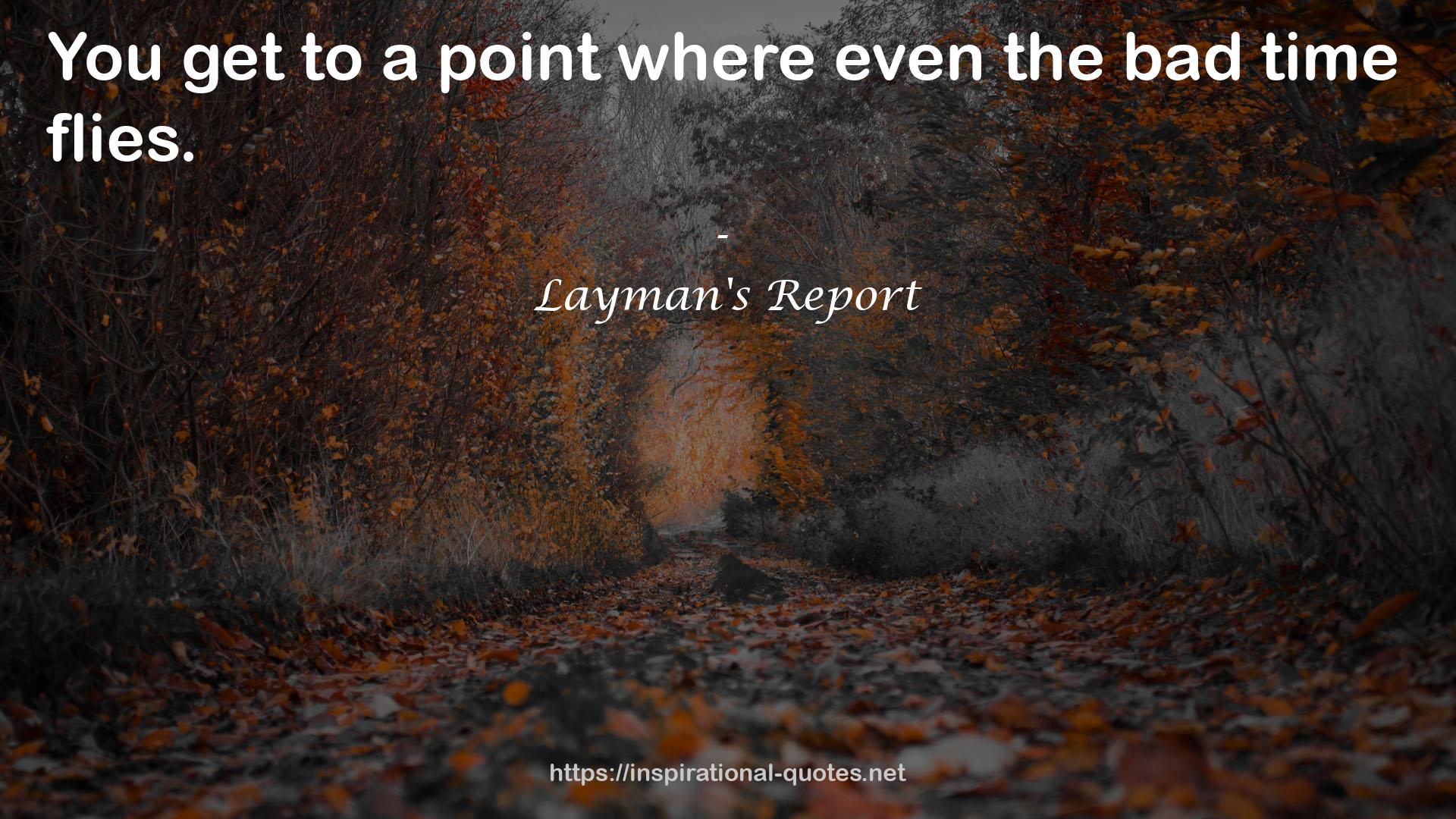 Layman's Report QUOTES