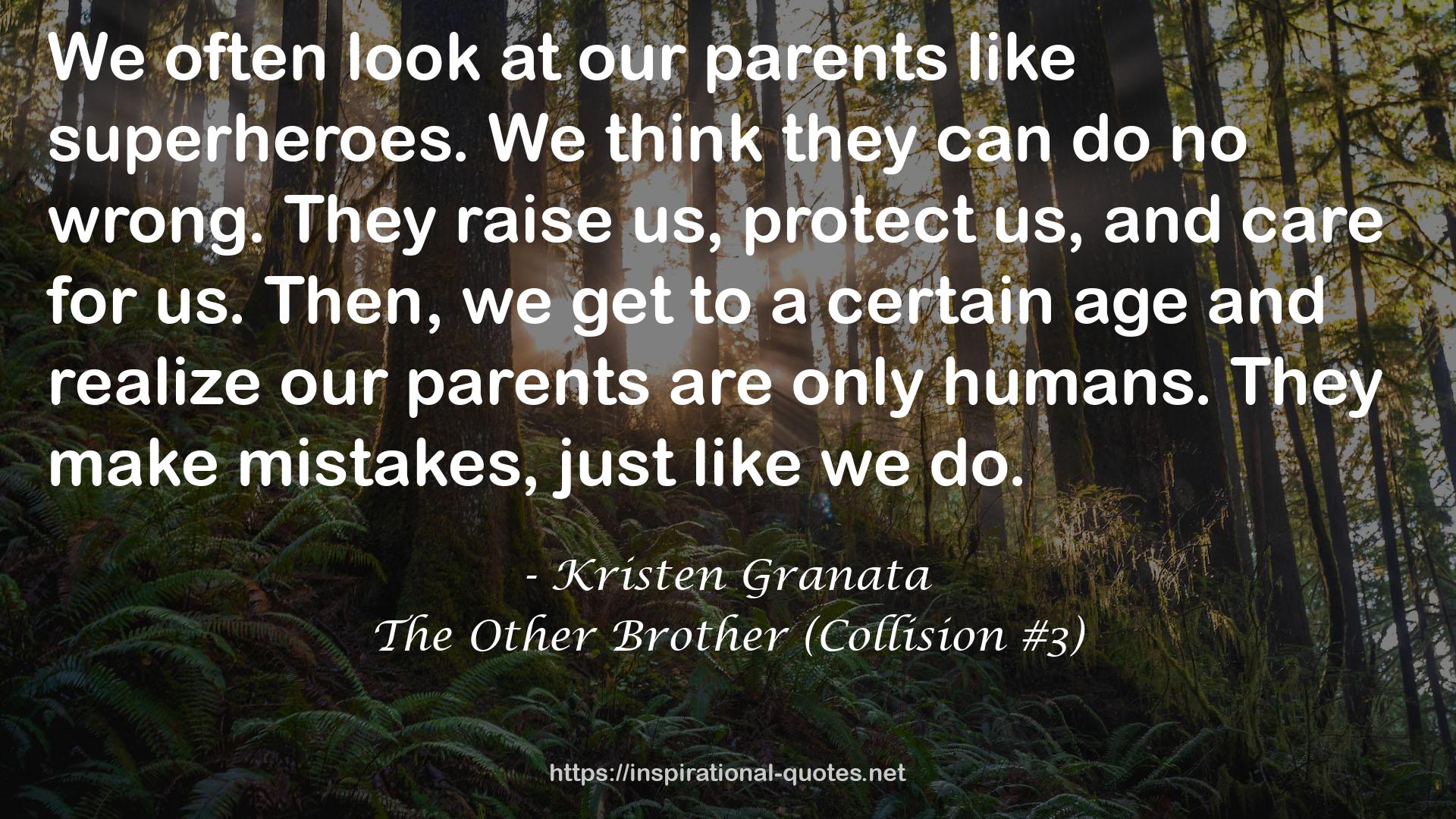 The Other Brother (Collision #3) QUOTES