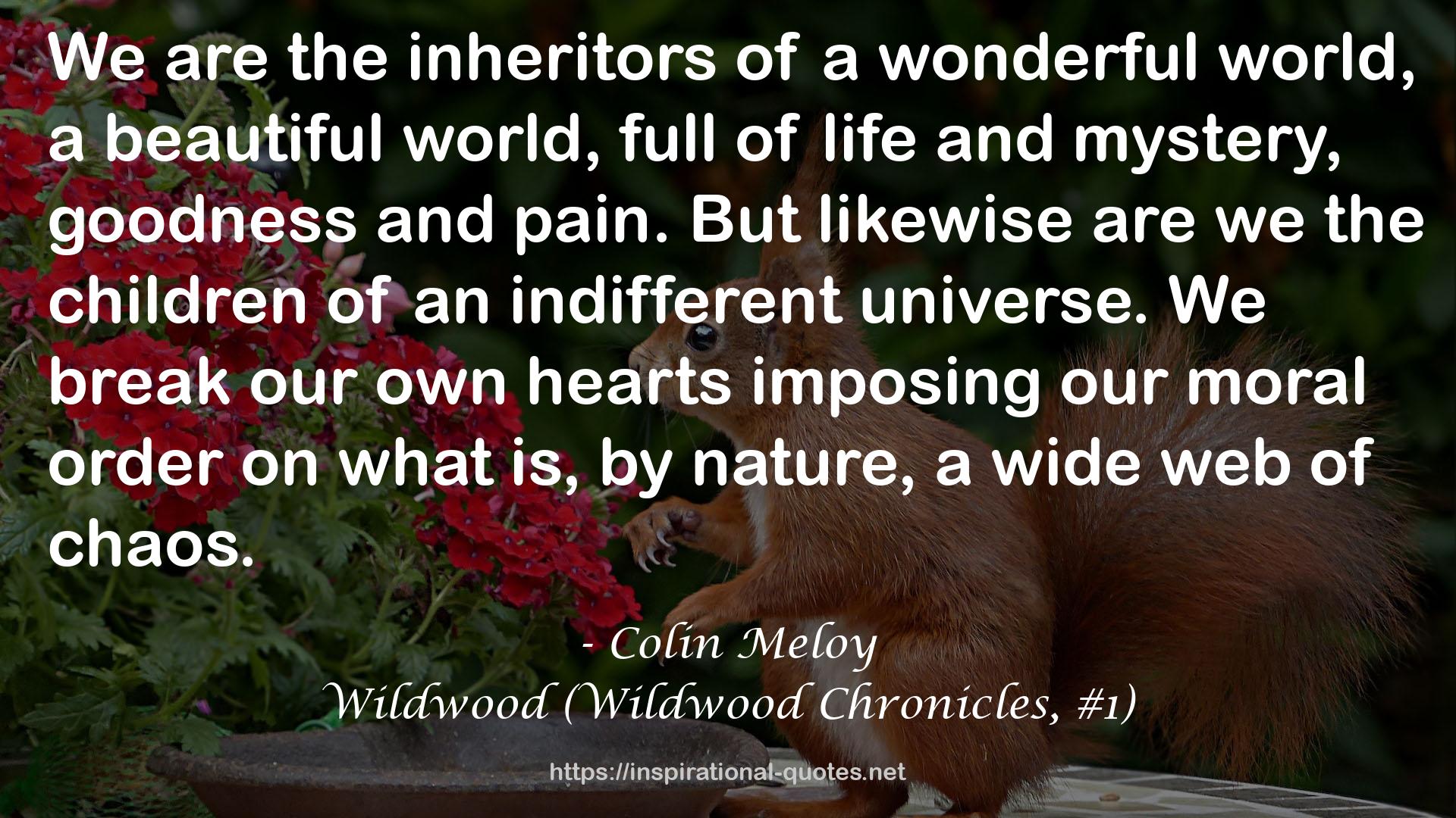 Colin Meloy QUOTES
