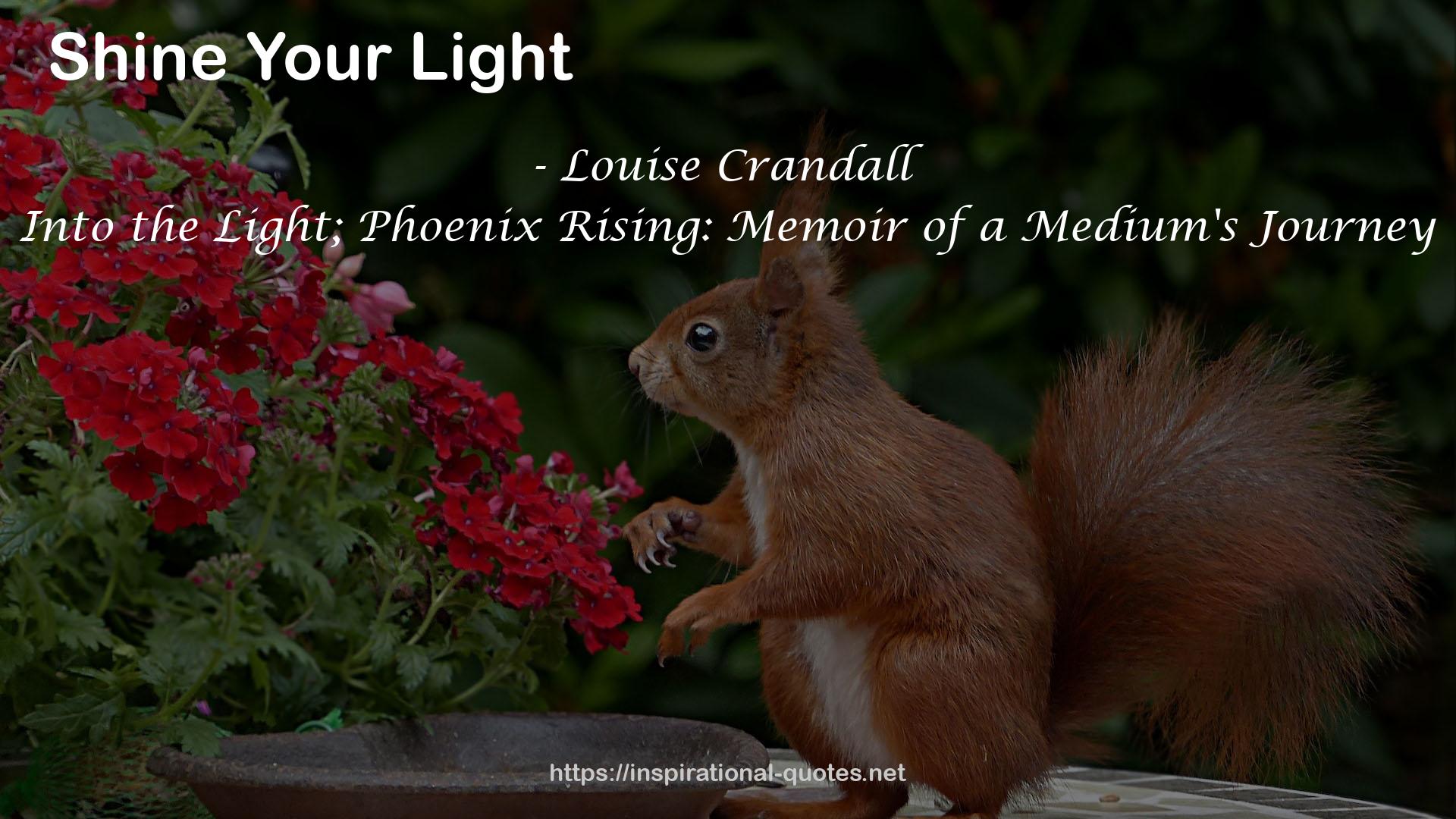 Into the Light; Phoenix Rising: Memoir of a Medium's Journey QUOTES