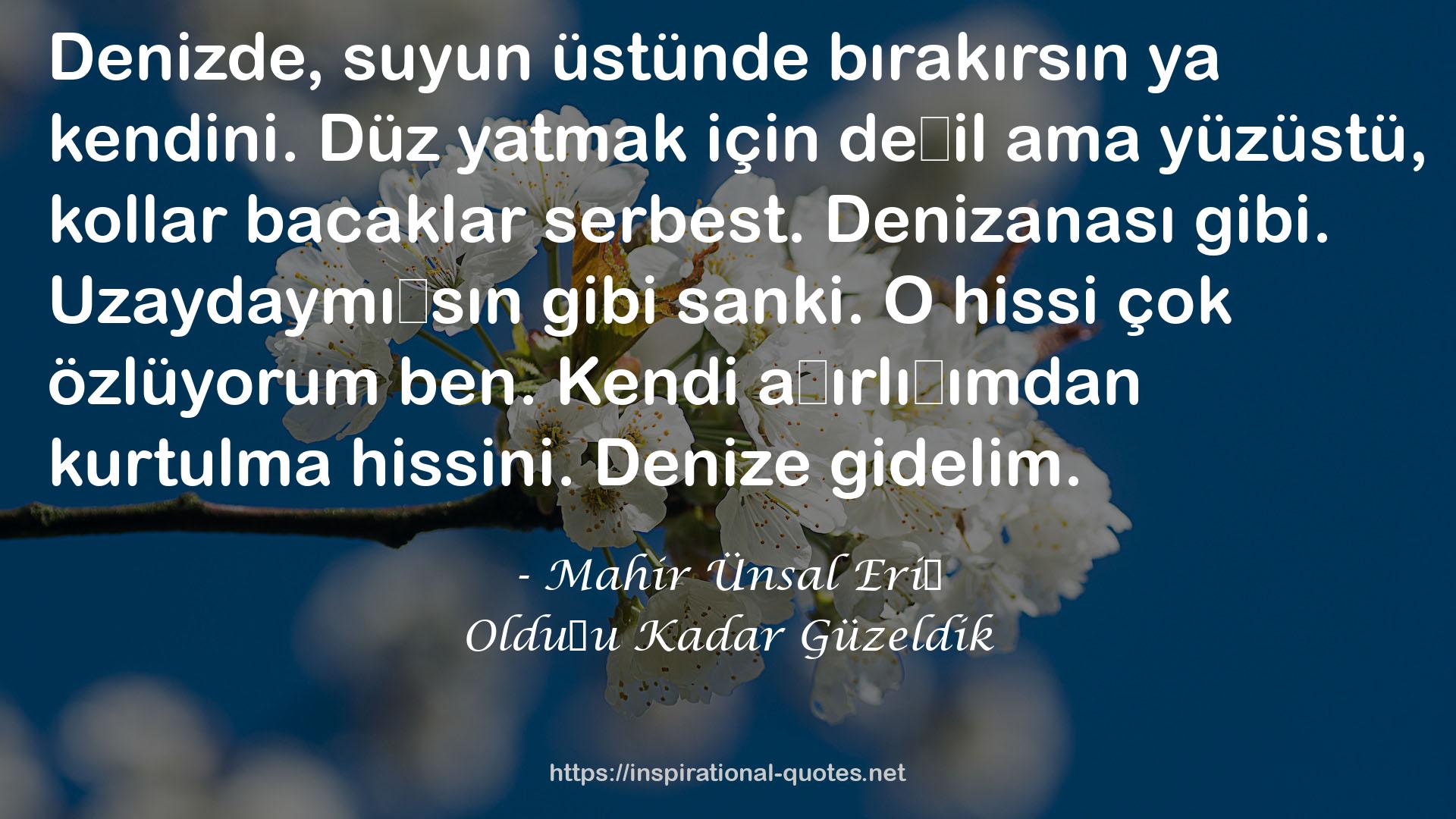 Olduğu Kadar Güzeldik QUOTES