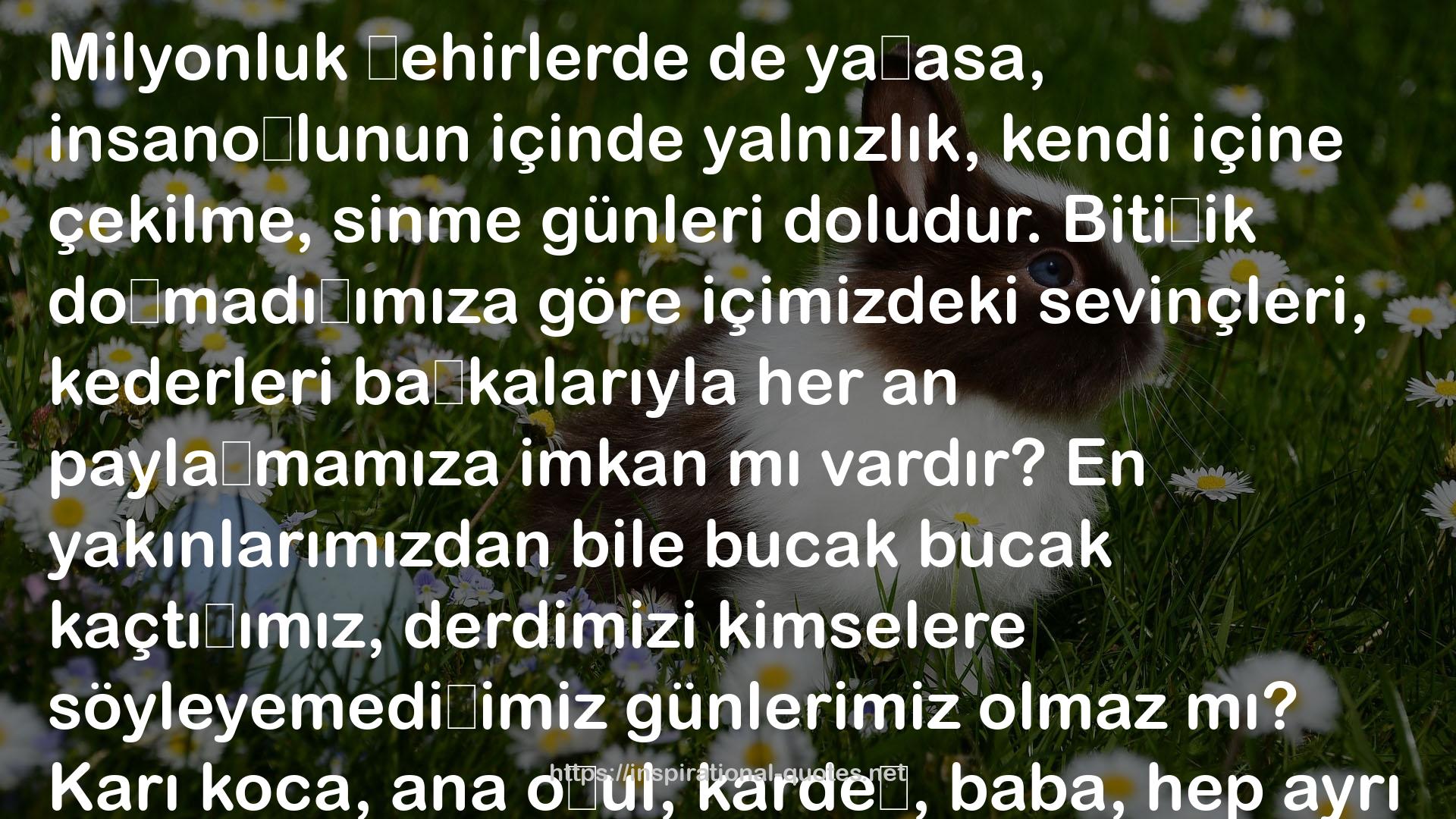 Havuz Başı QUOTES