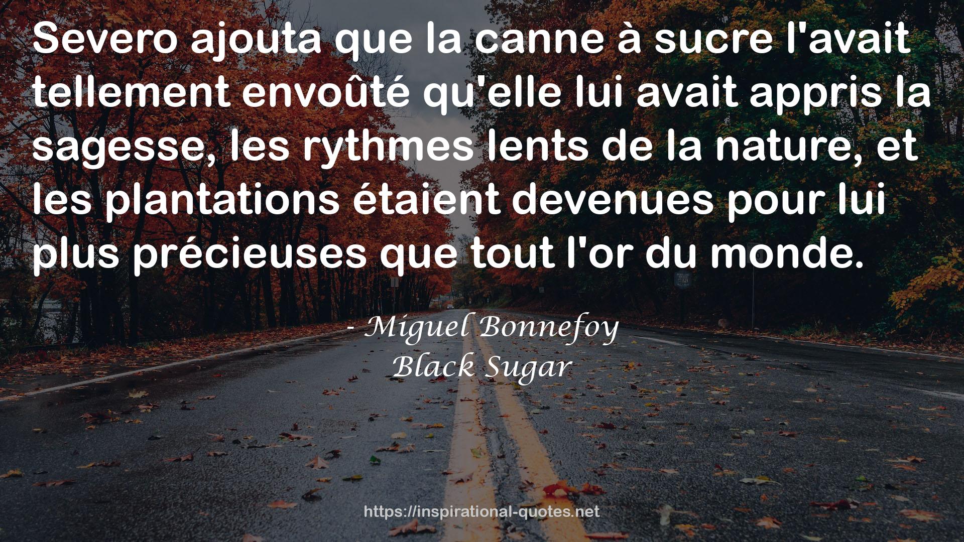 Miguel Bonnefoy QUOTES