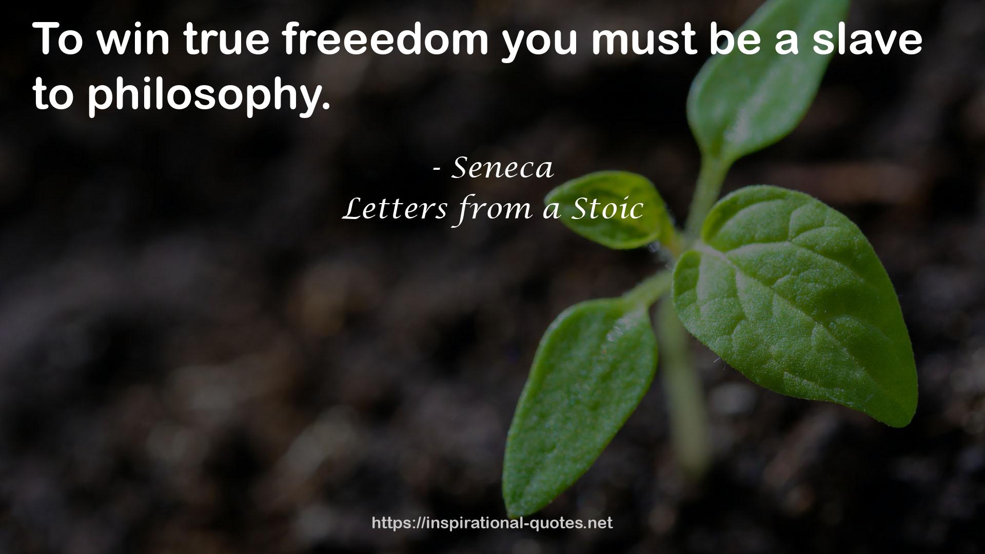 freeedom  QUOTES