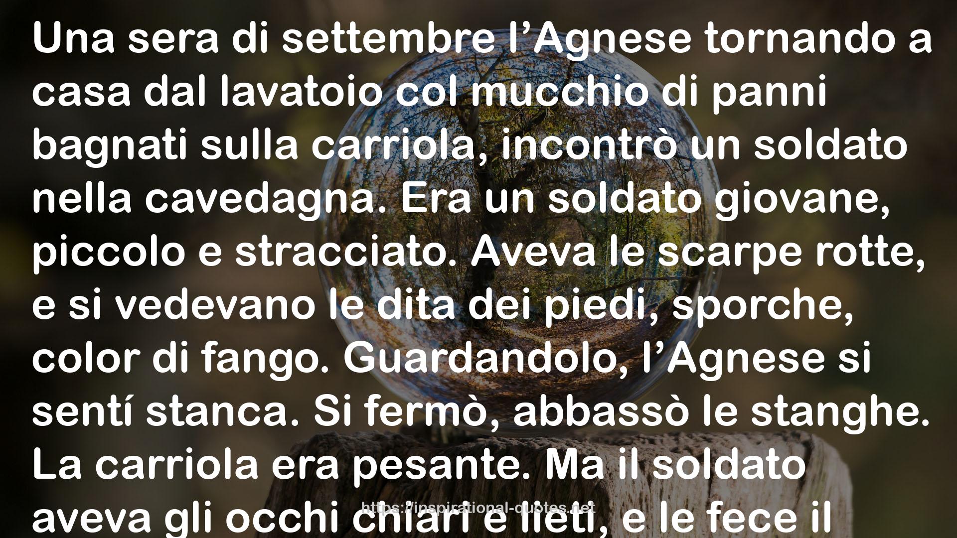 Renata Viganò QUOTES