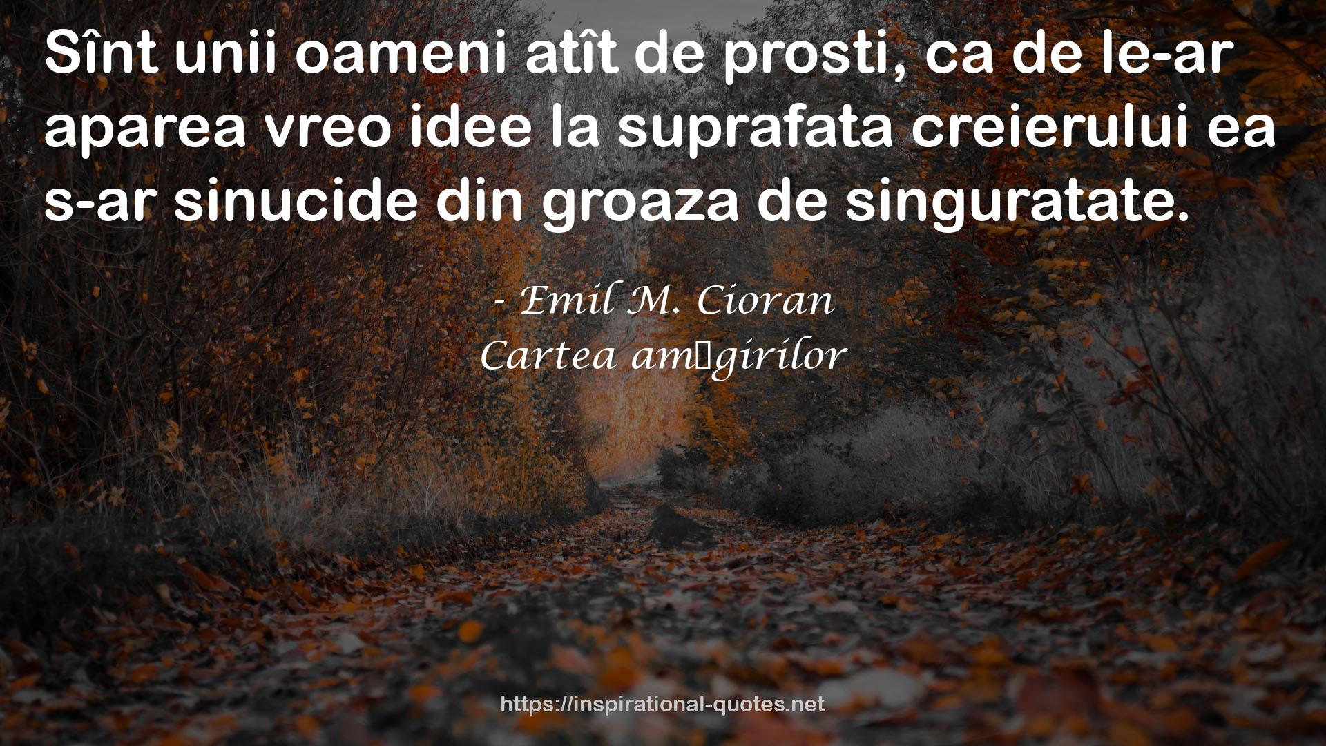 Cartea amăgirilor QUOTES