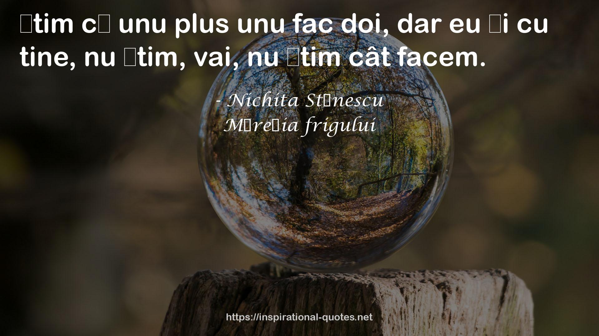 Măreţia frigului QUOTES