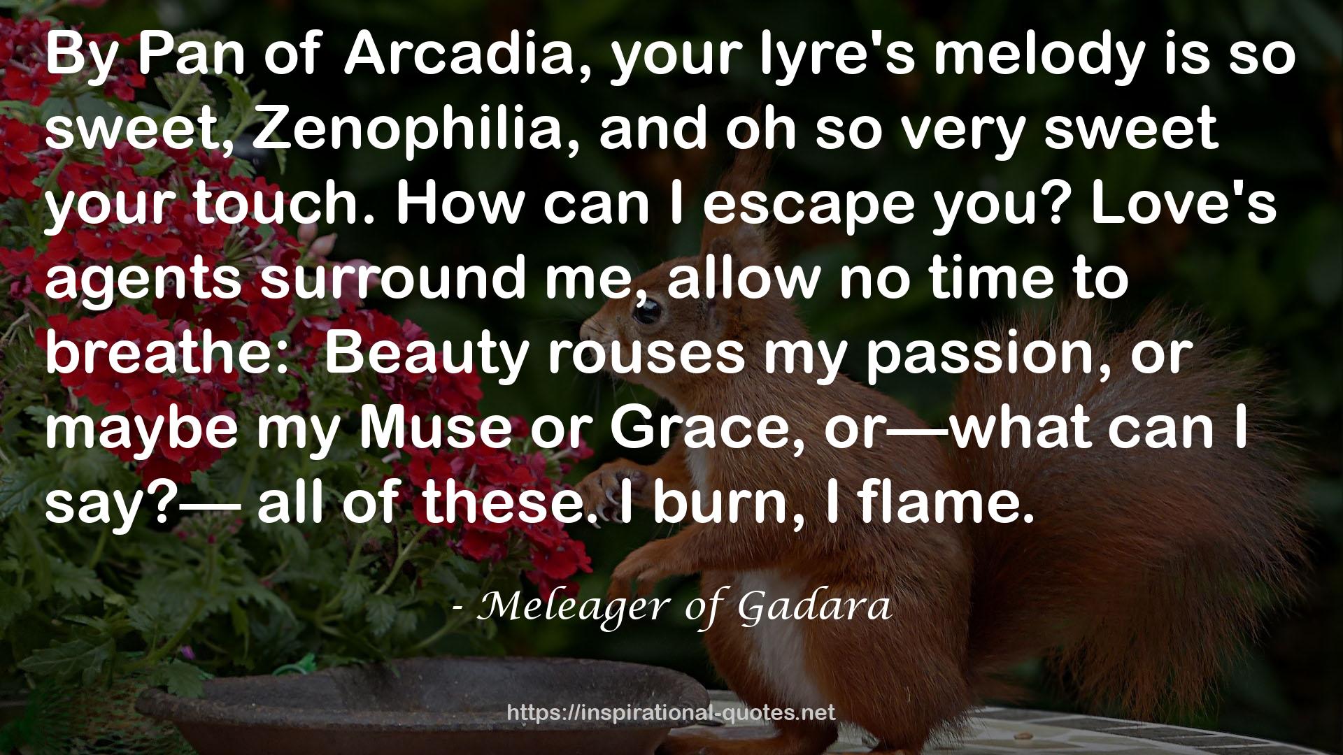 Meleager of Gadara QUOTES