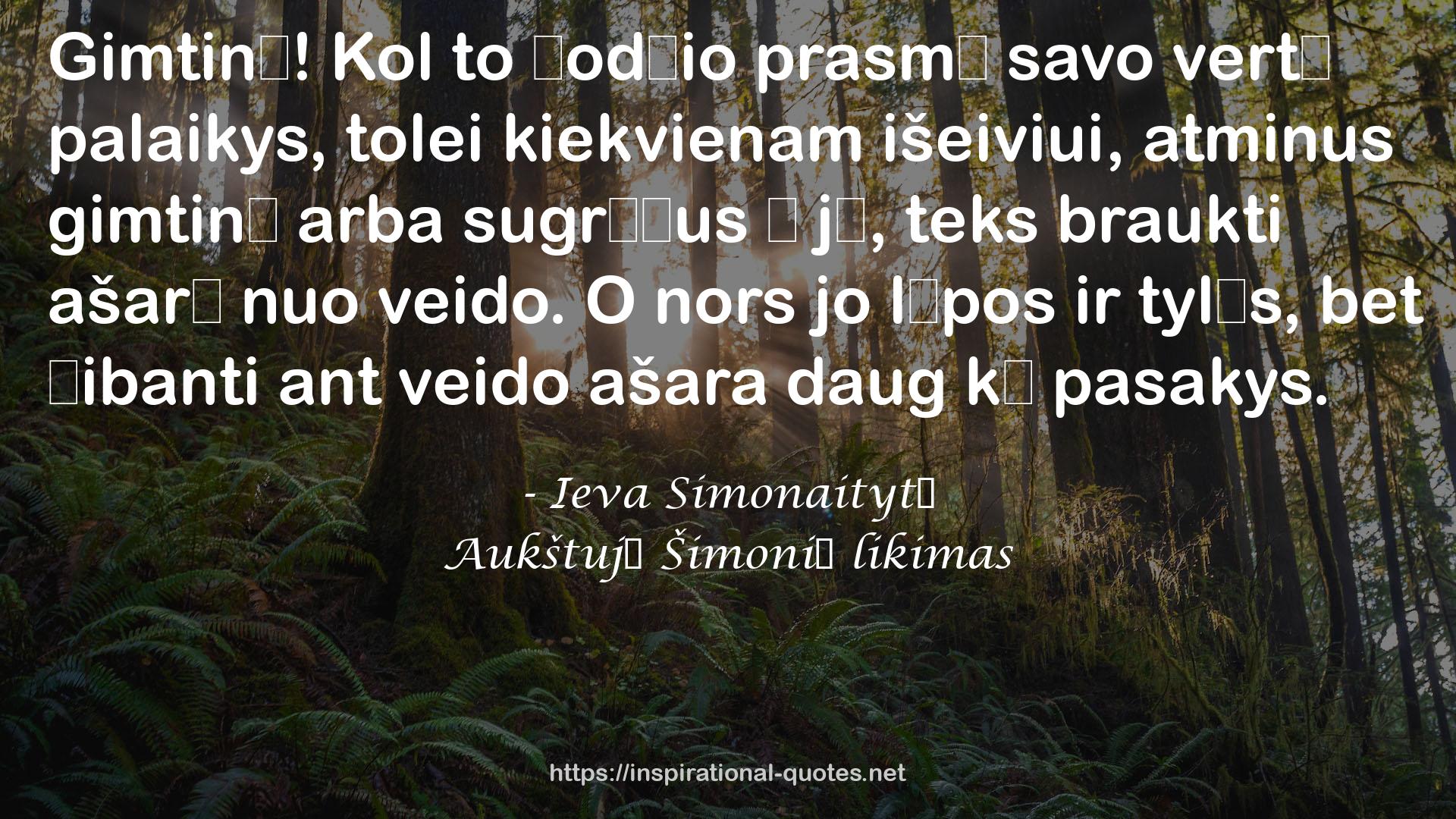 Ieva Simonaitytė QUOTES