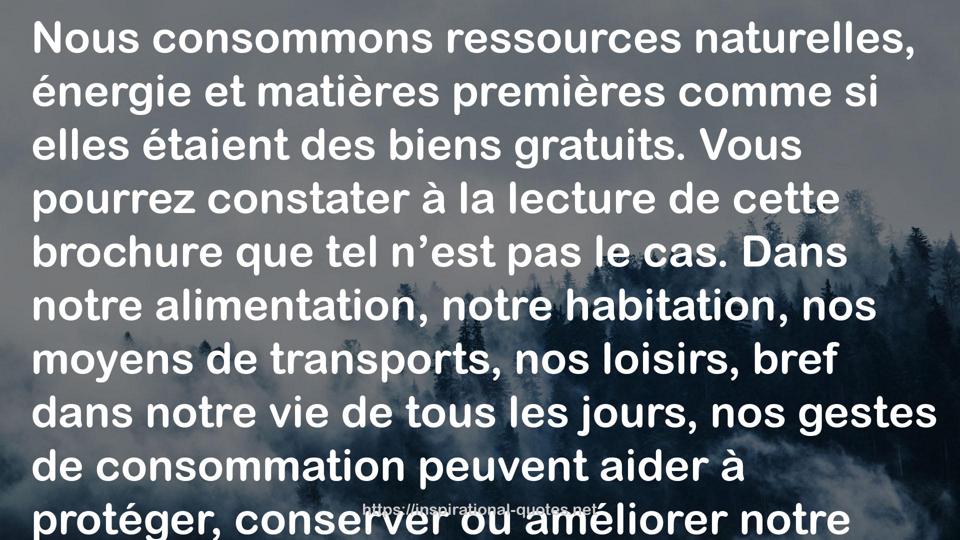 L'environnement consommé à crédit QUOTES