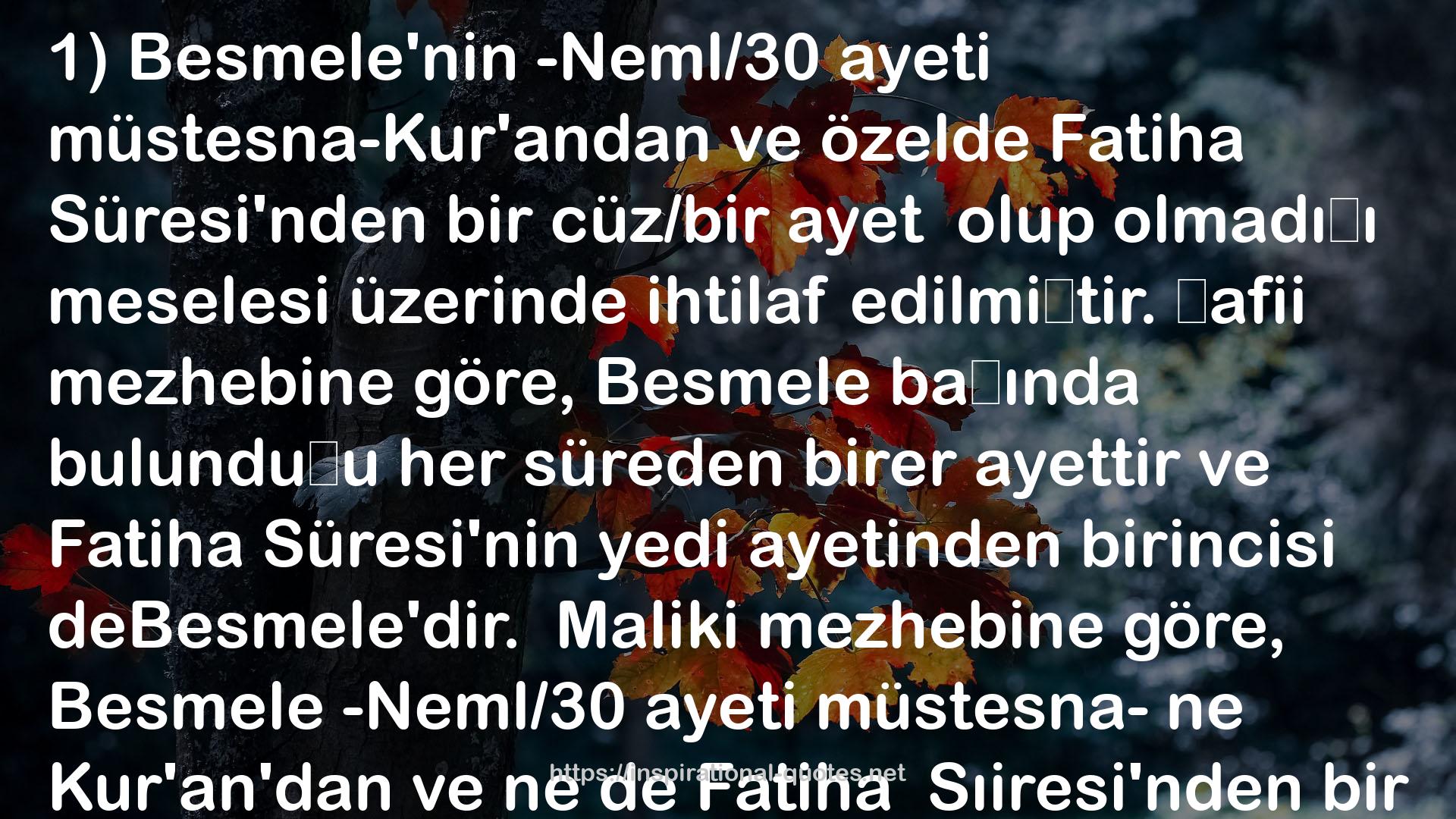 Kuran-i Kerim Meali - Bilgisayarli Kuran Hatti QUOTES