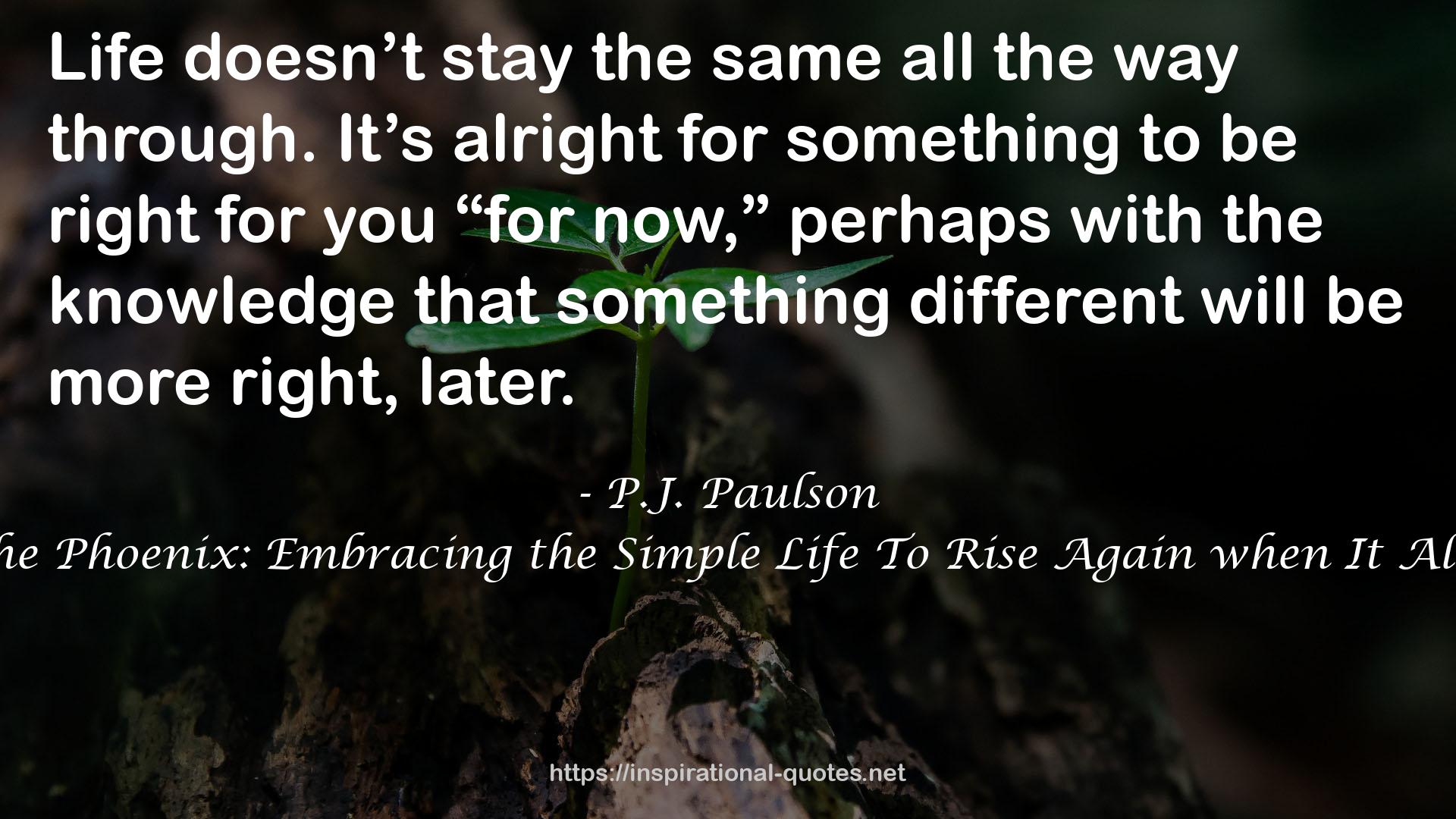 Summer of the Phoenix: Embracing the Simple Life To Rise Again when It All Falls Apart QUOTES