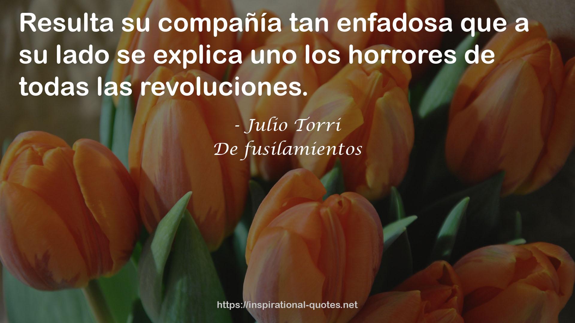 Julio Torri QUOTES