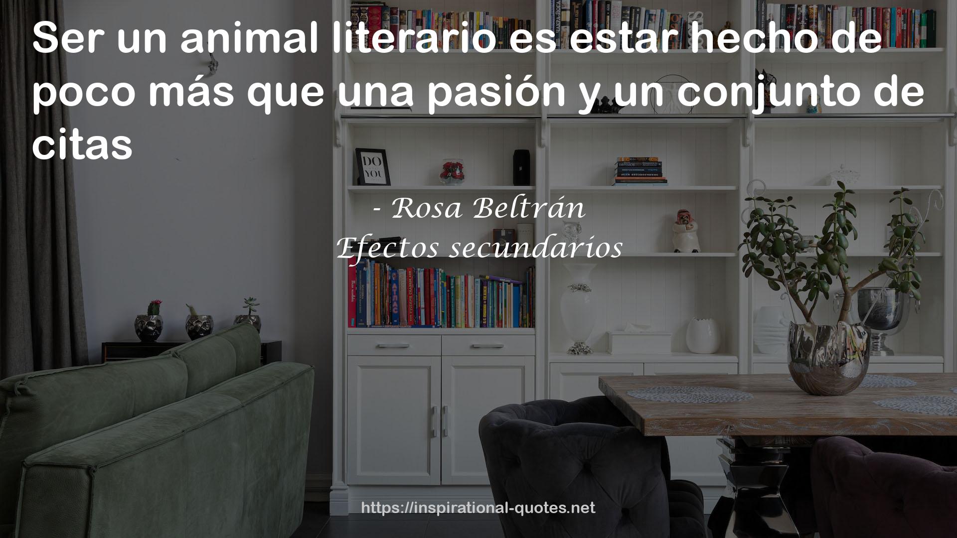 Rosa Beltrán QUOTES